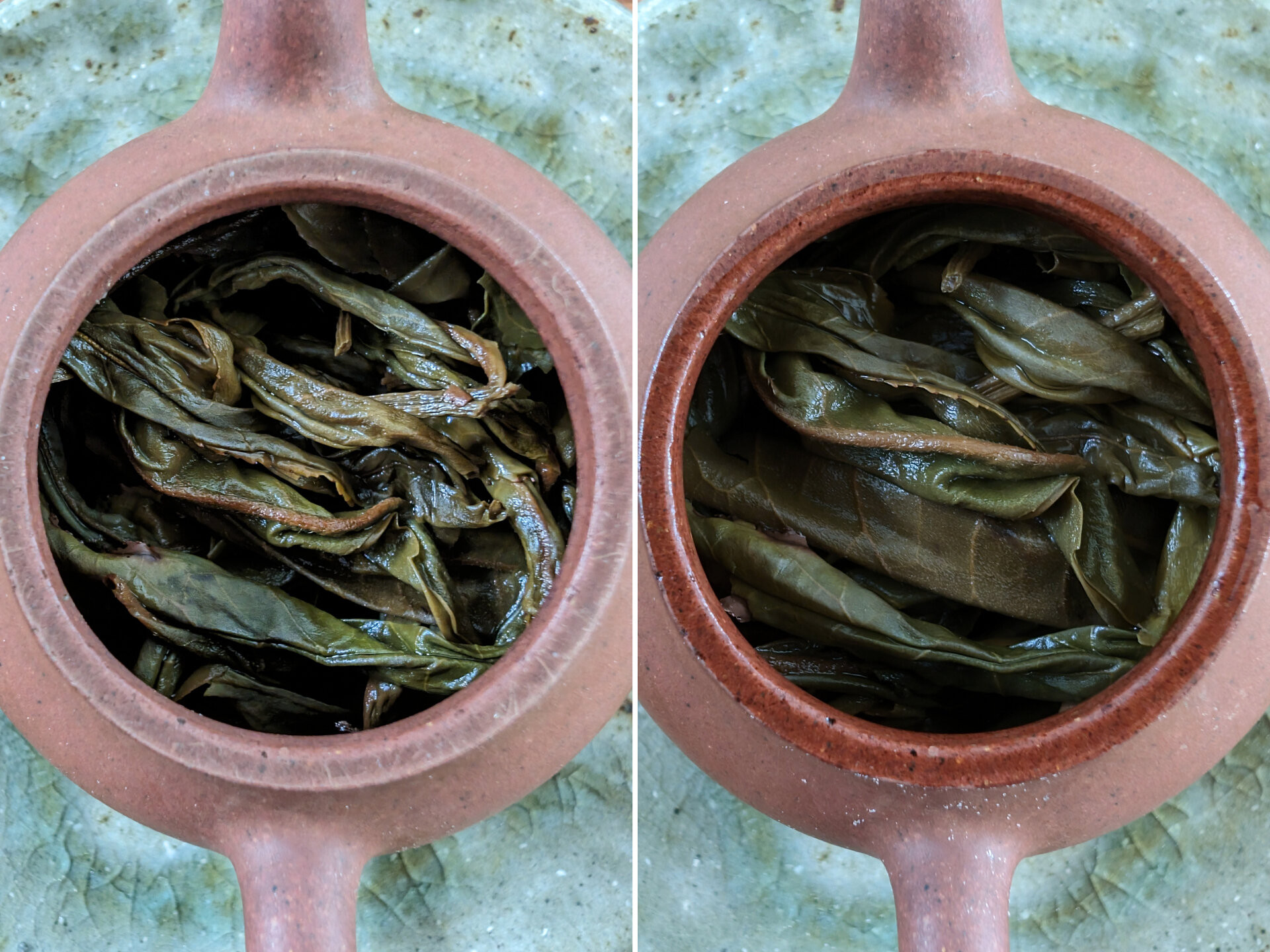2019 Thai Gushu Maocha (prSK)