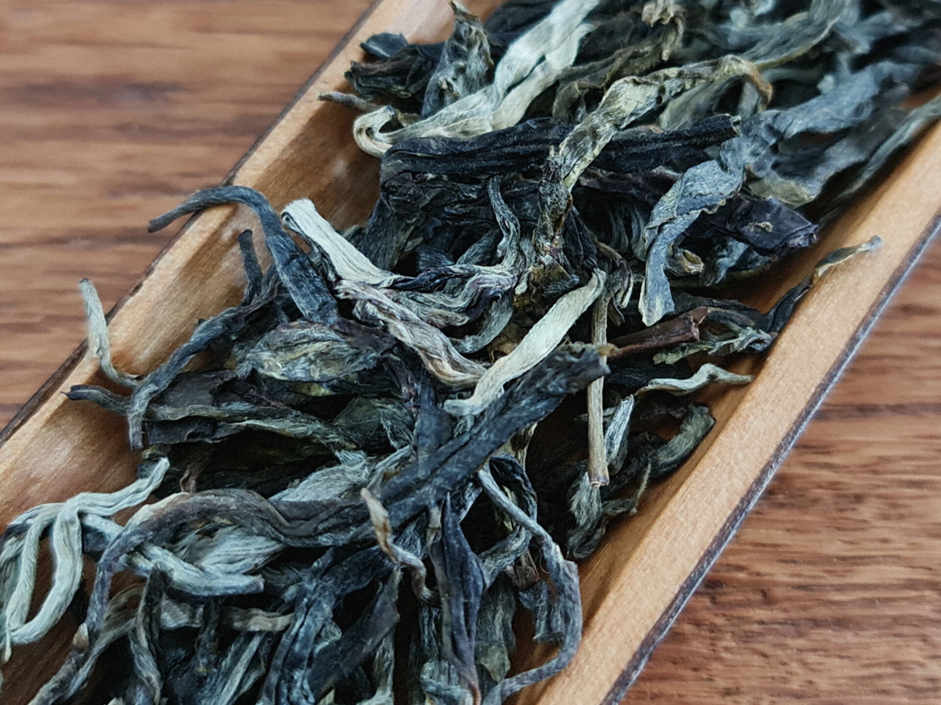 2022 Daheishan Xiaoshu (TE)