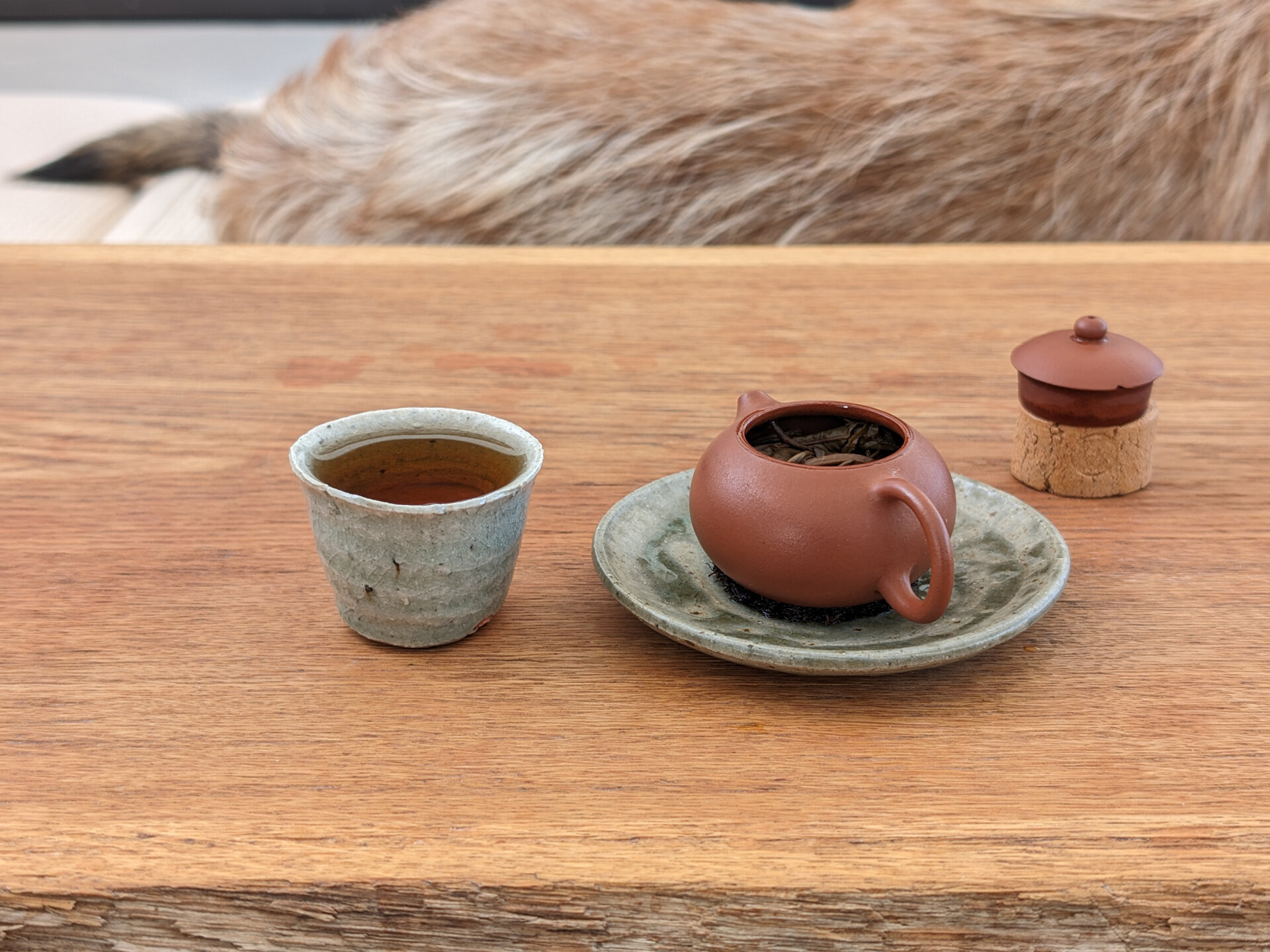 2017 Bi Yun Hao Wangong Gaogan Gushu
