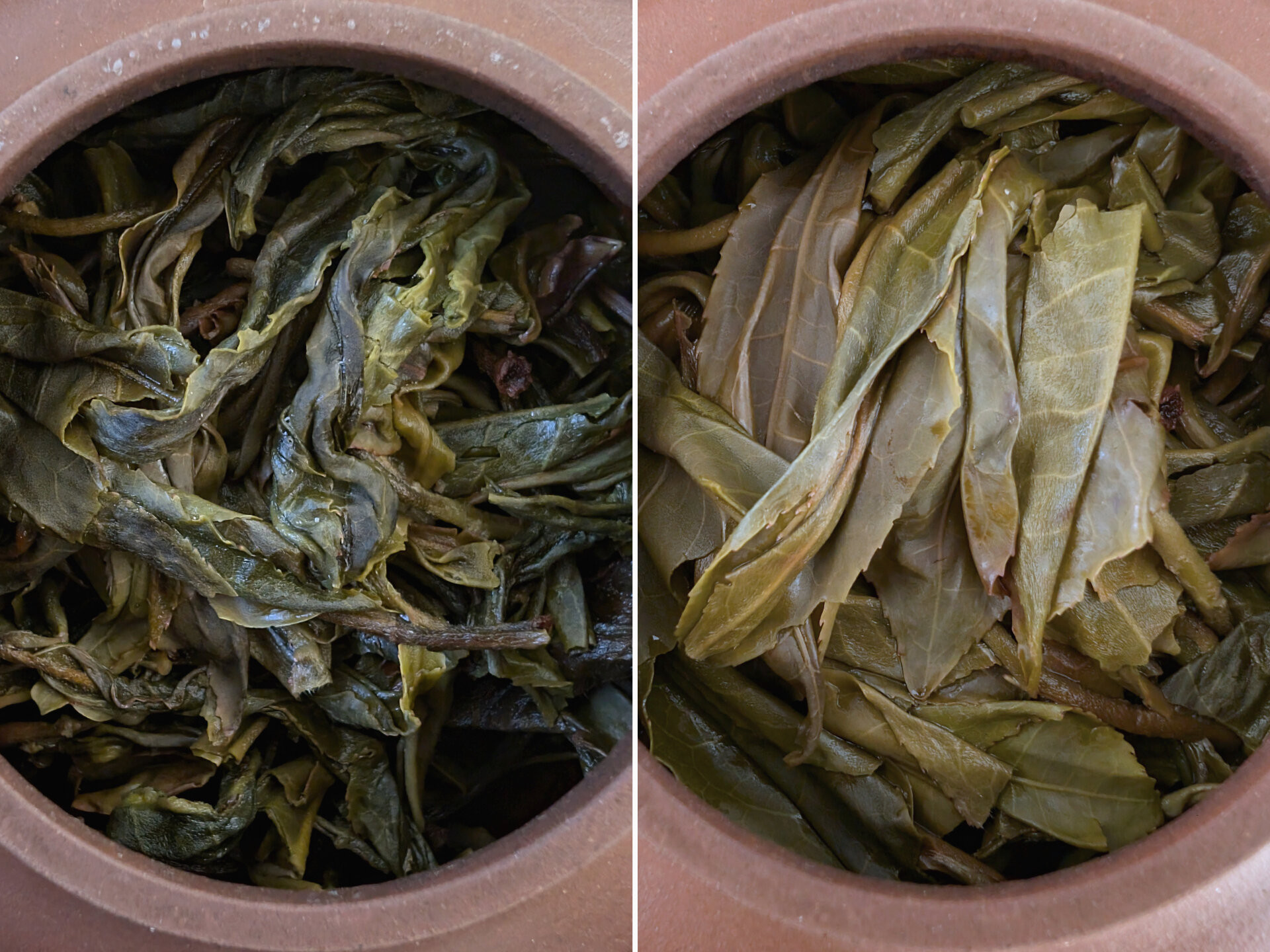 2024 Chenyuan Hao Wangong