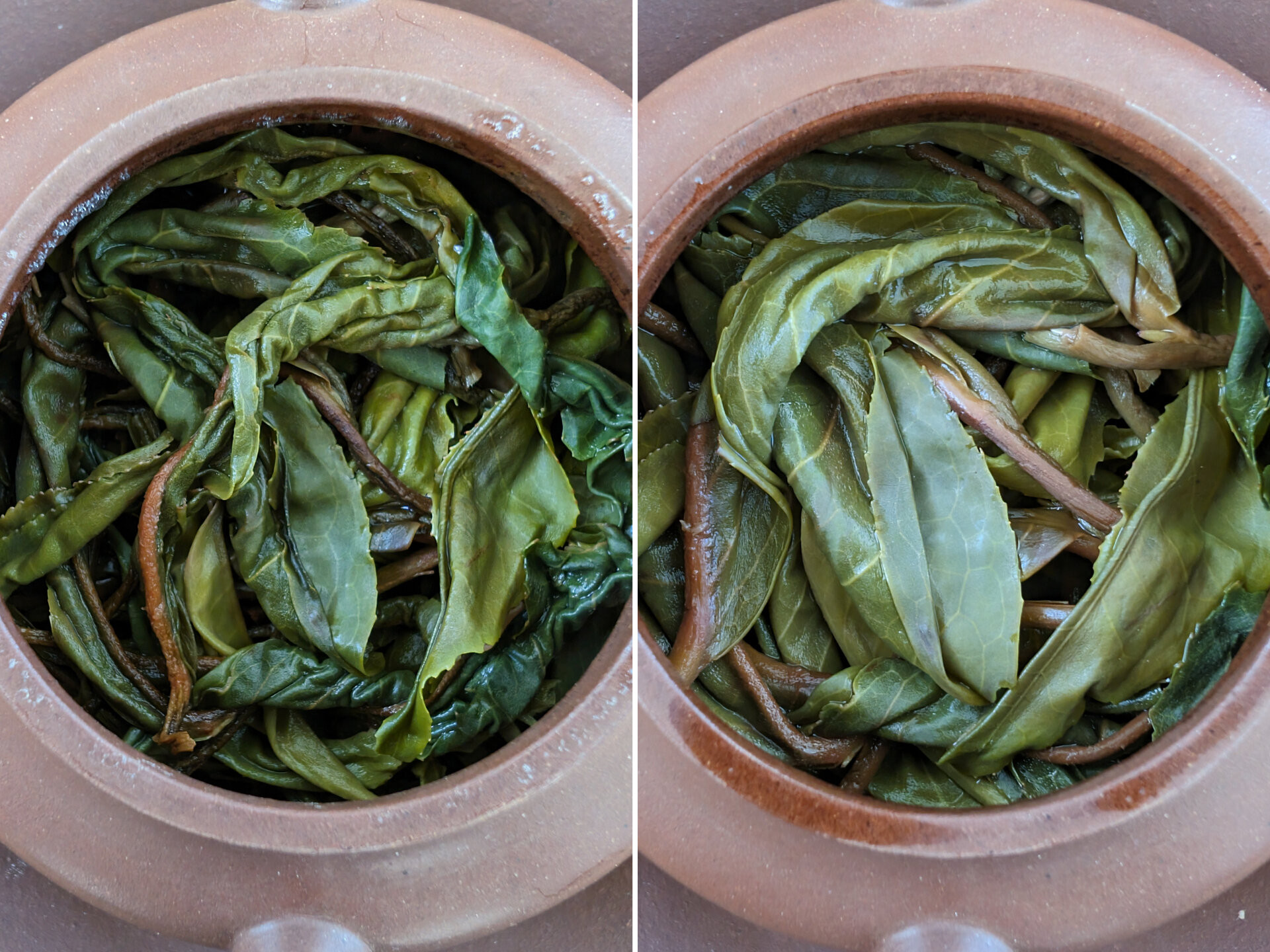 2024 VeiAn Gushu Maocha (prSK)