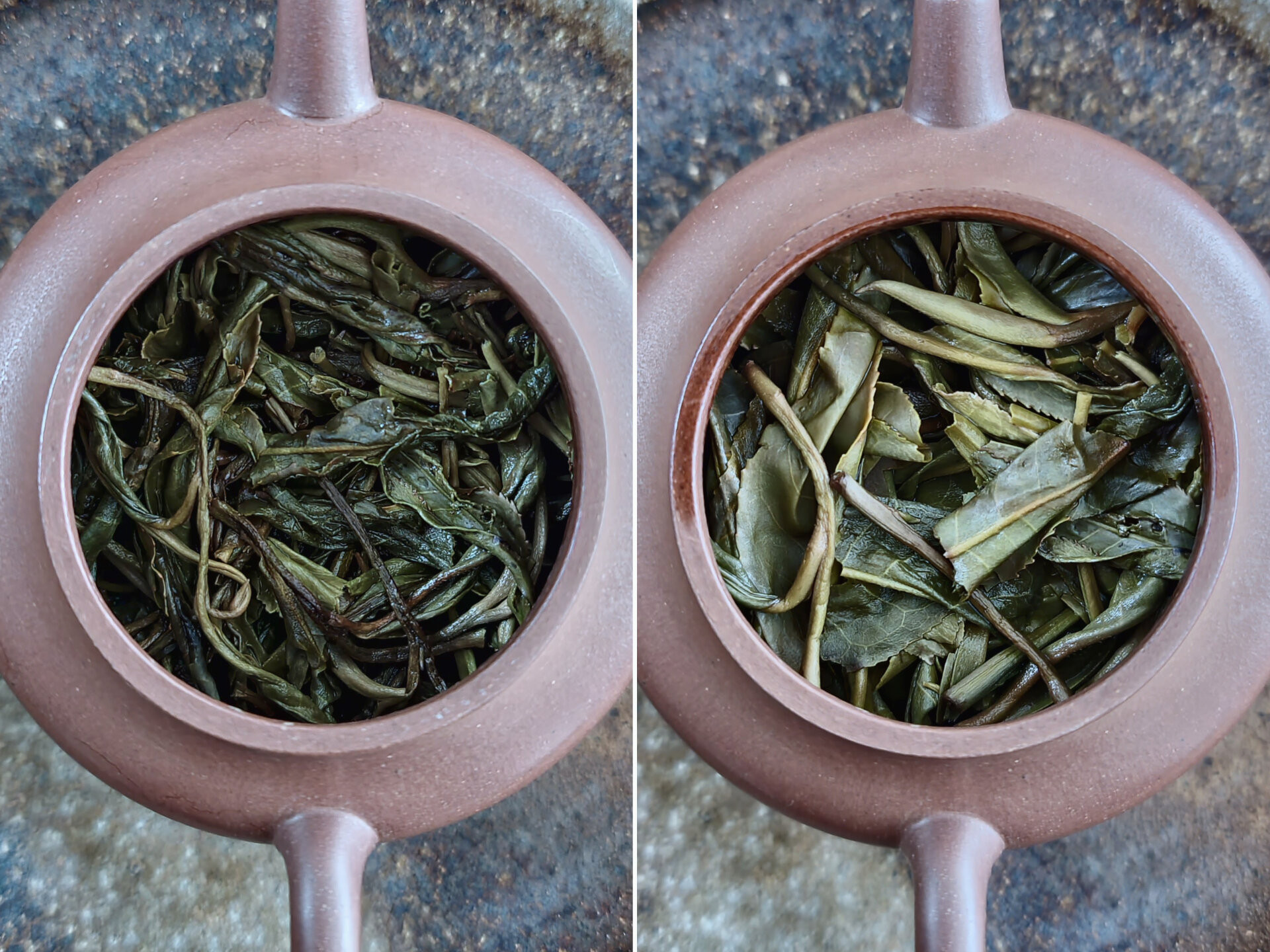 2022 Yibang Mibu (Yu)