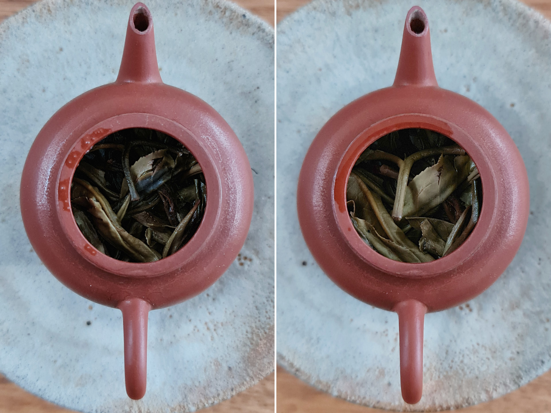 2013 Lao Ban Zhang Gushu (Yu)