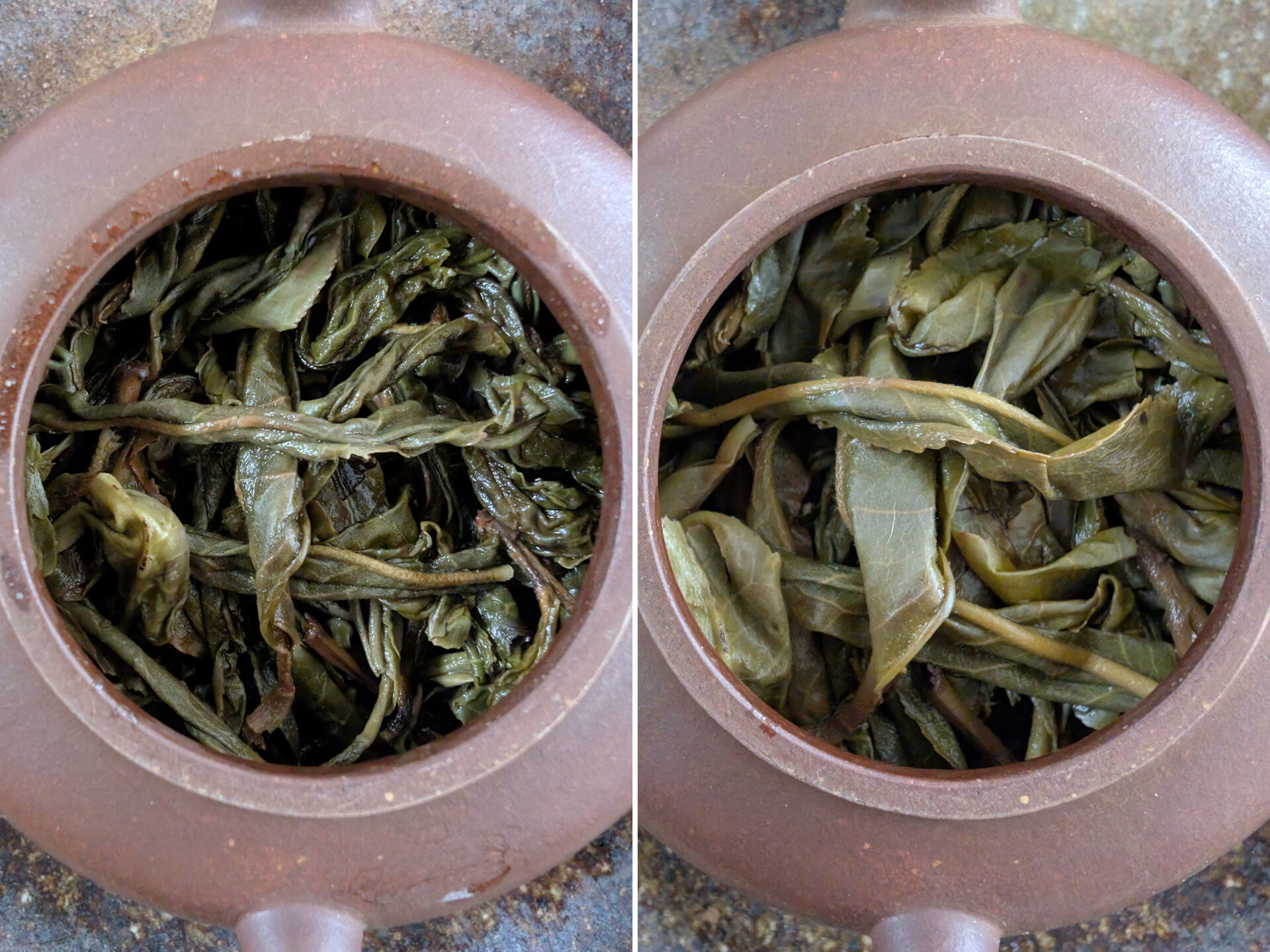 2025 Chenyuan Hao Bai Cha Yuan