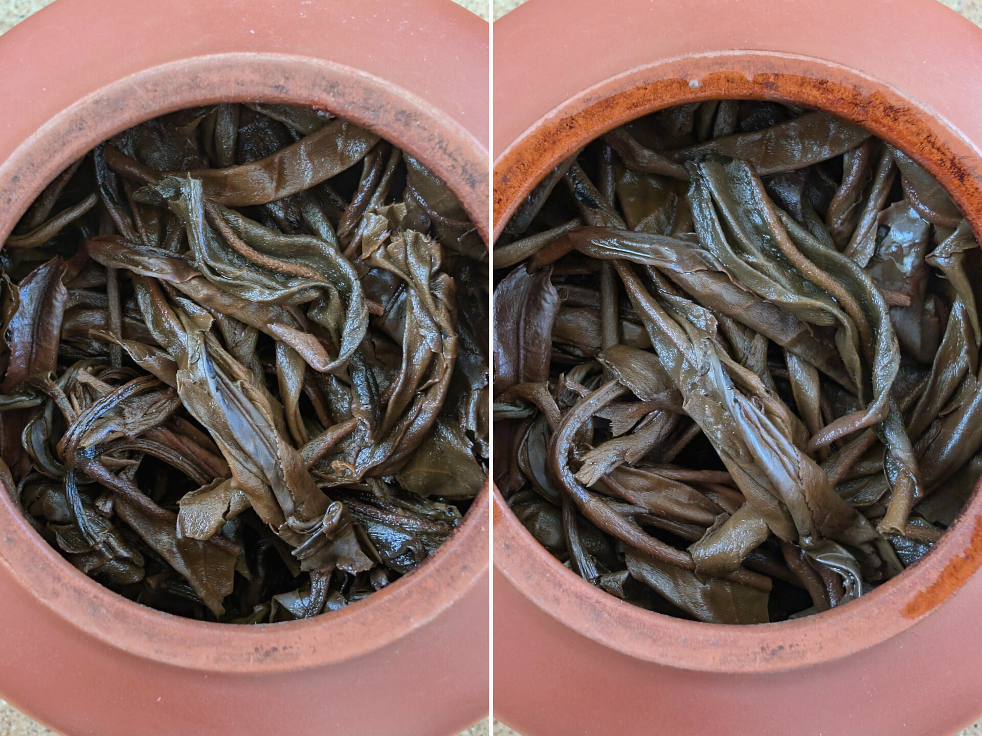 2008 Chenyuan Hao Cang Yi
