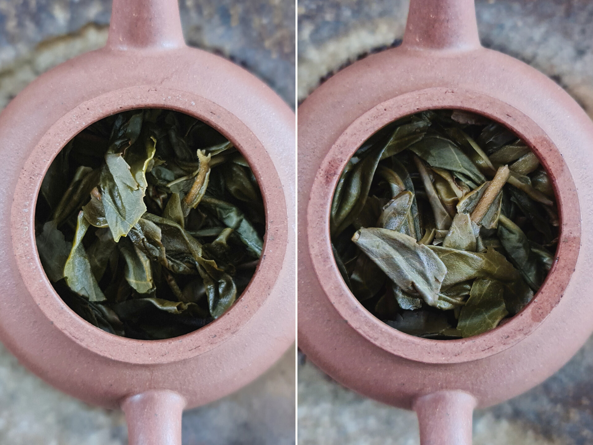 2021 Yiwu Gaoshan Danzhu (prSK)