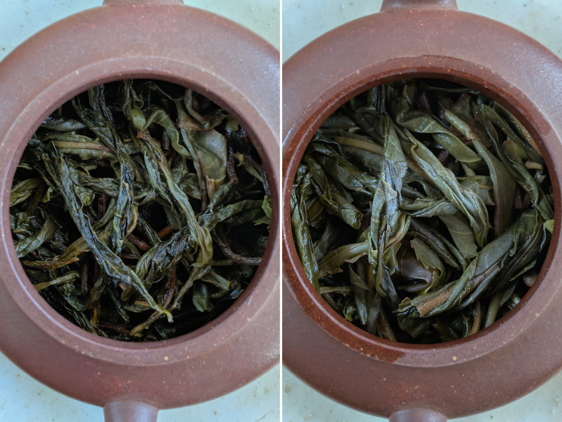 2025 Chenyuan Hao Huang Shan Gu Shu