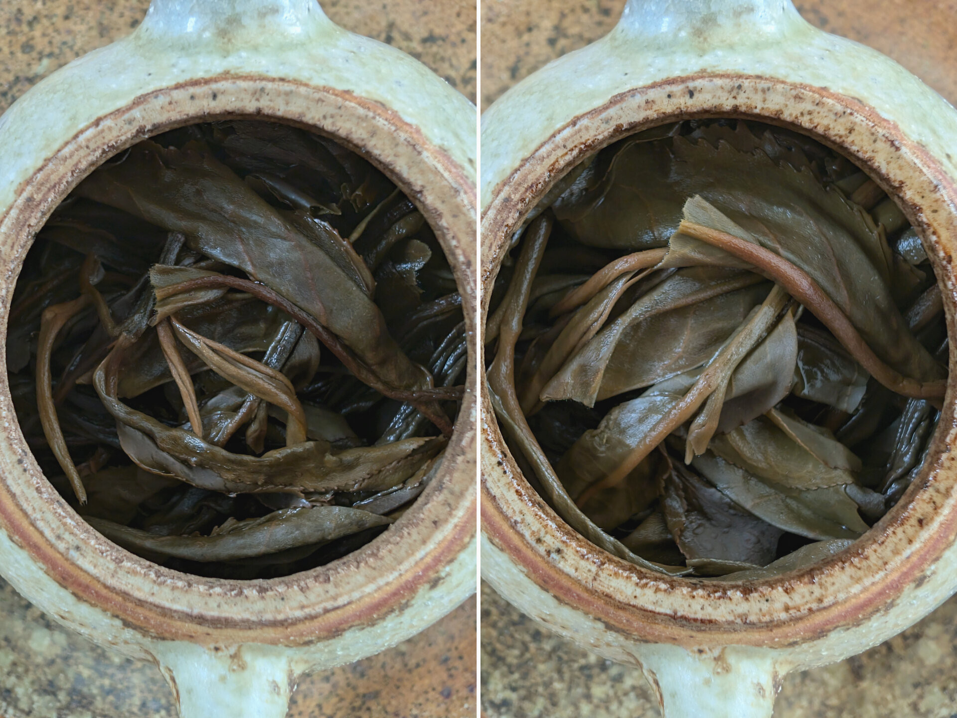 2013 Chenyuan Hao Cang Hong