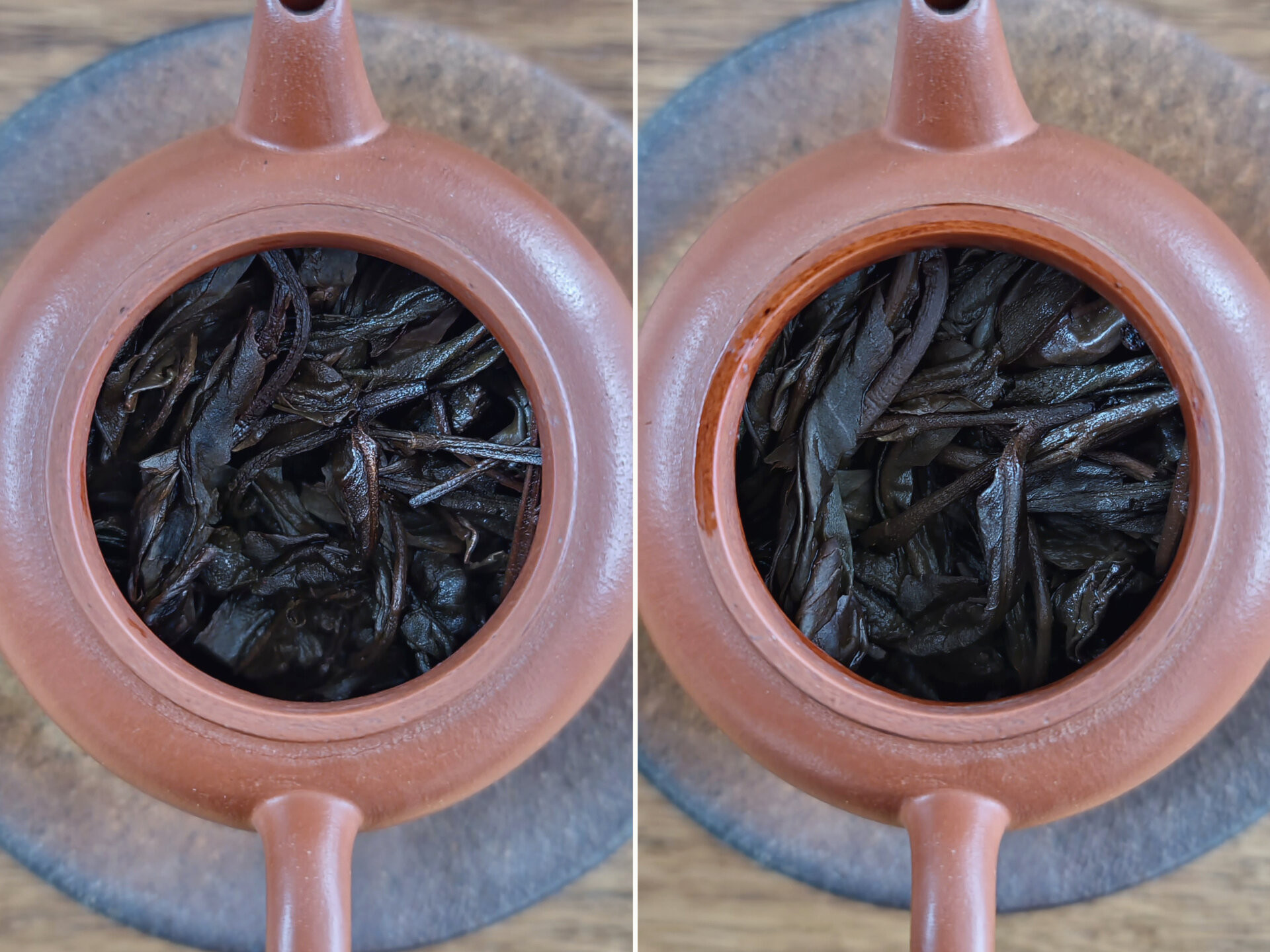 2003 Chenyuan Hao Manzhuan Ancient Tree