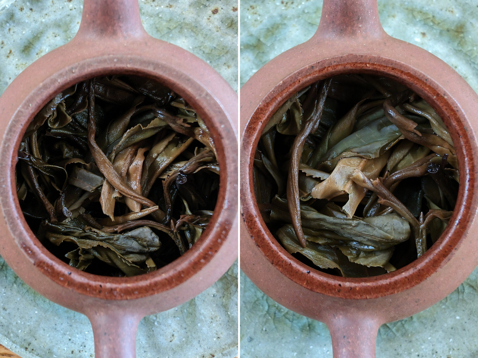 2016 Thai Gushu Maocha (prSK)