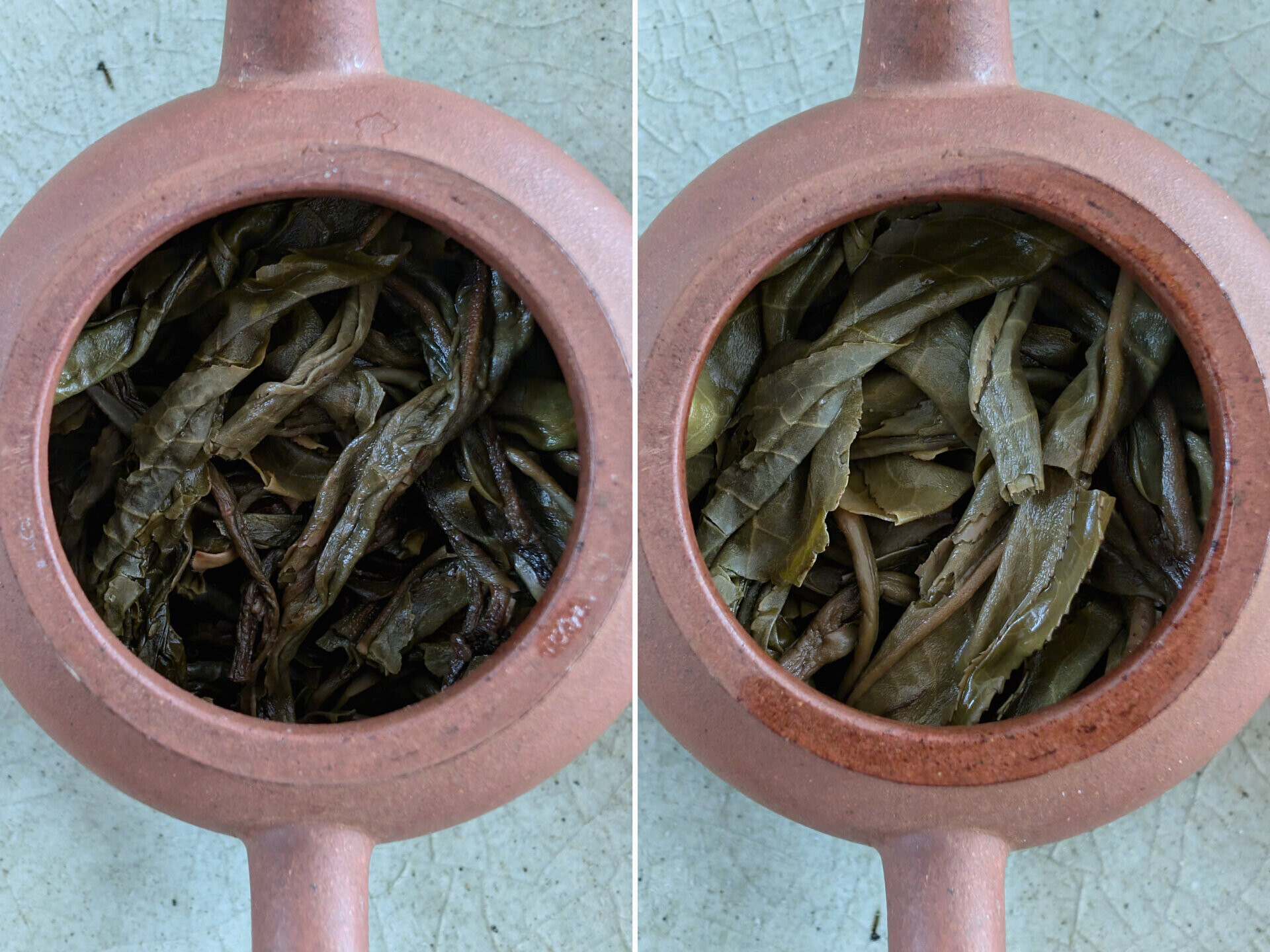 2020 Gushu Mengku Dongguo