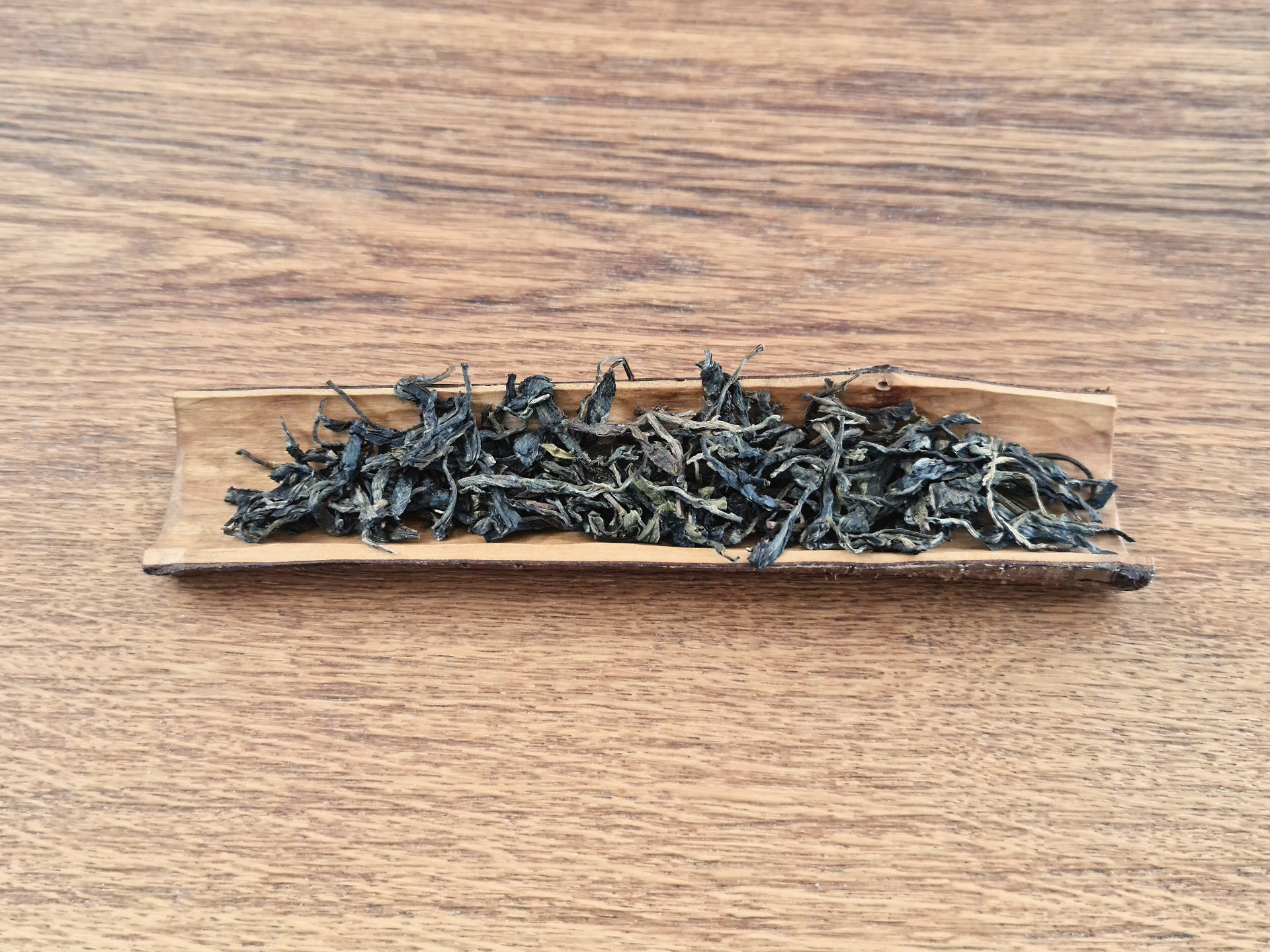2019 Yi Bang (TU)