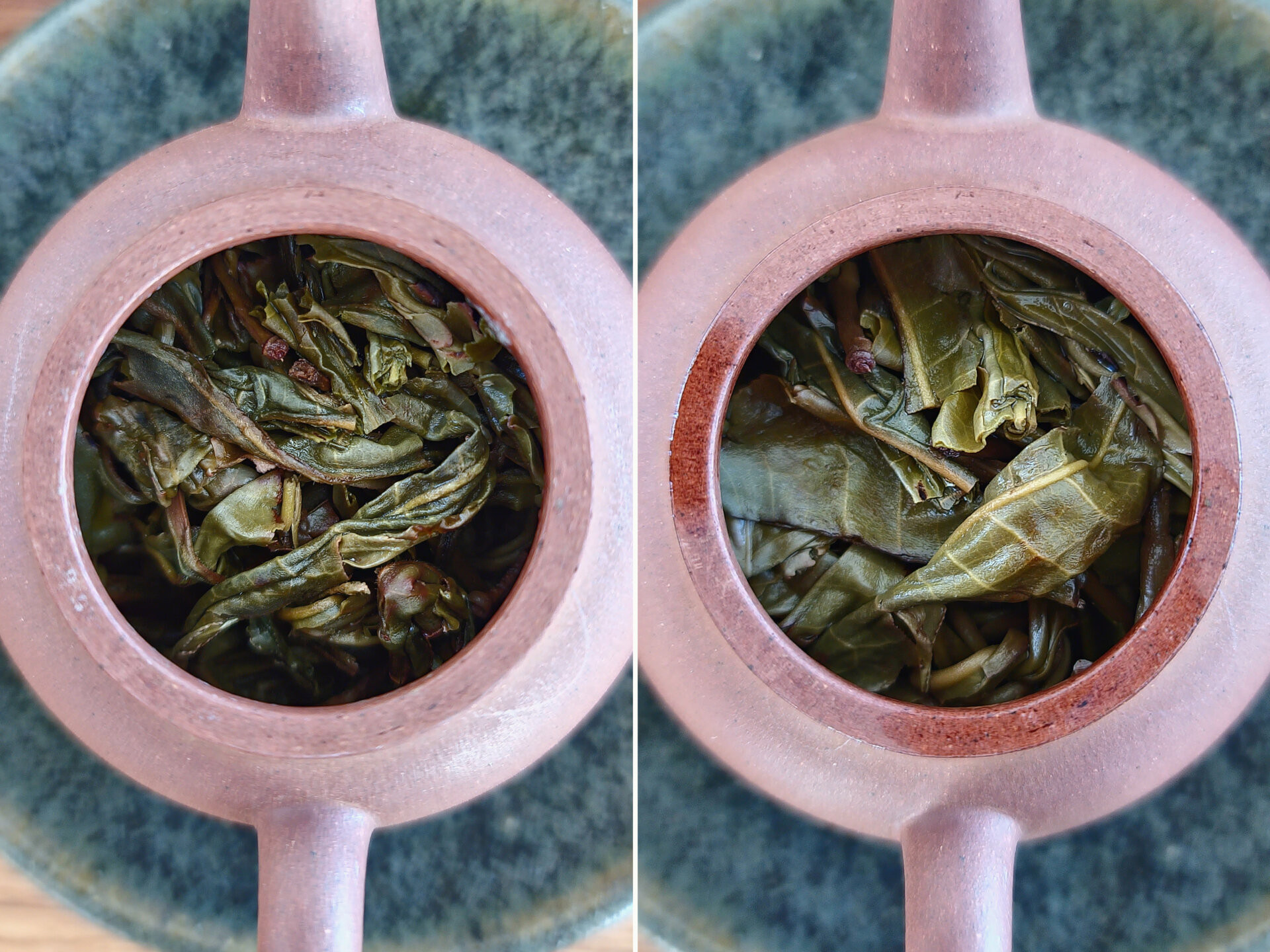 2021 Yibang Xiaoshu (Yu)