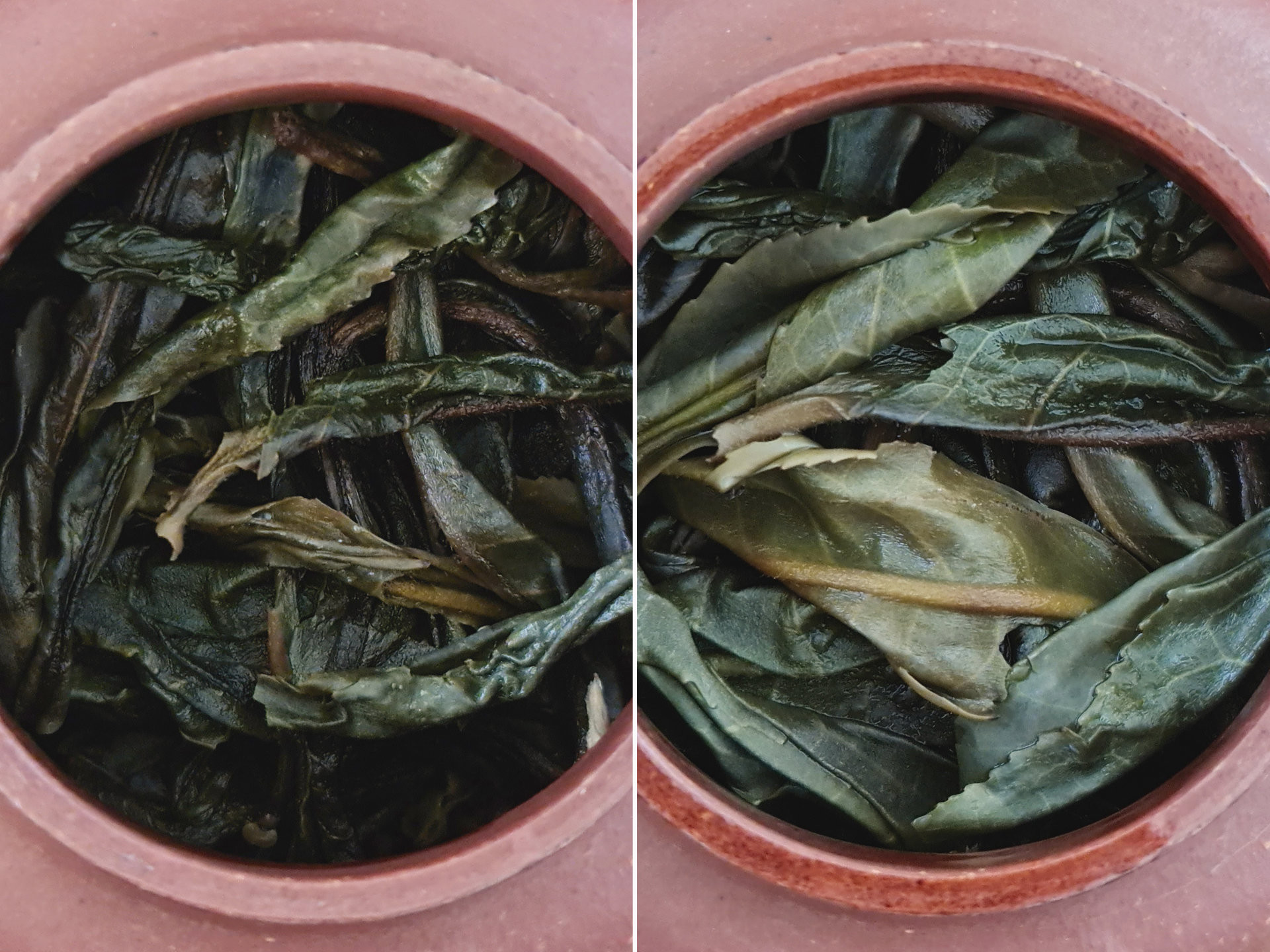 2017 Gaoshan Gushu (Yu)
