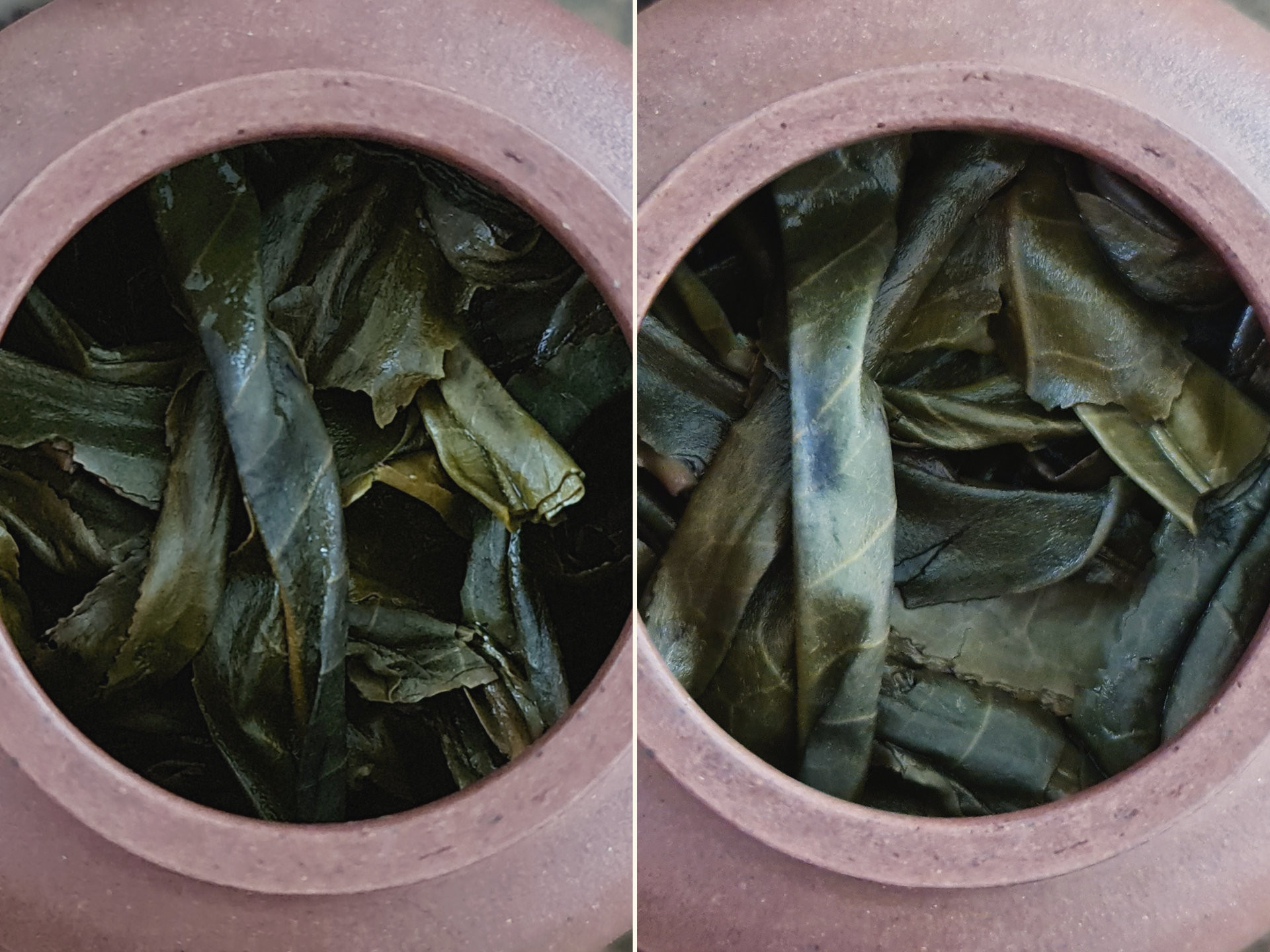 2019 Changtai Kunlu Shan Gushu