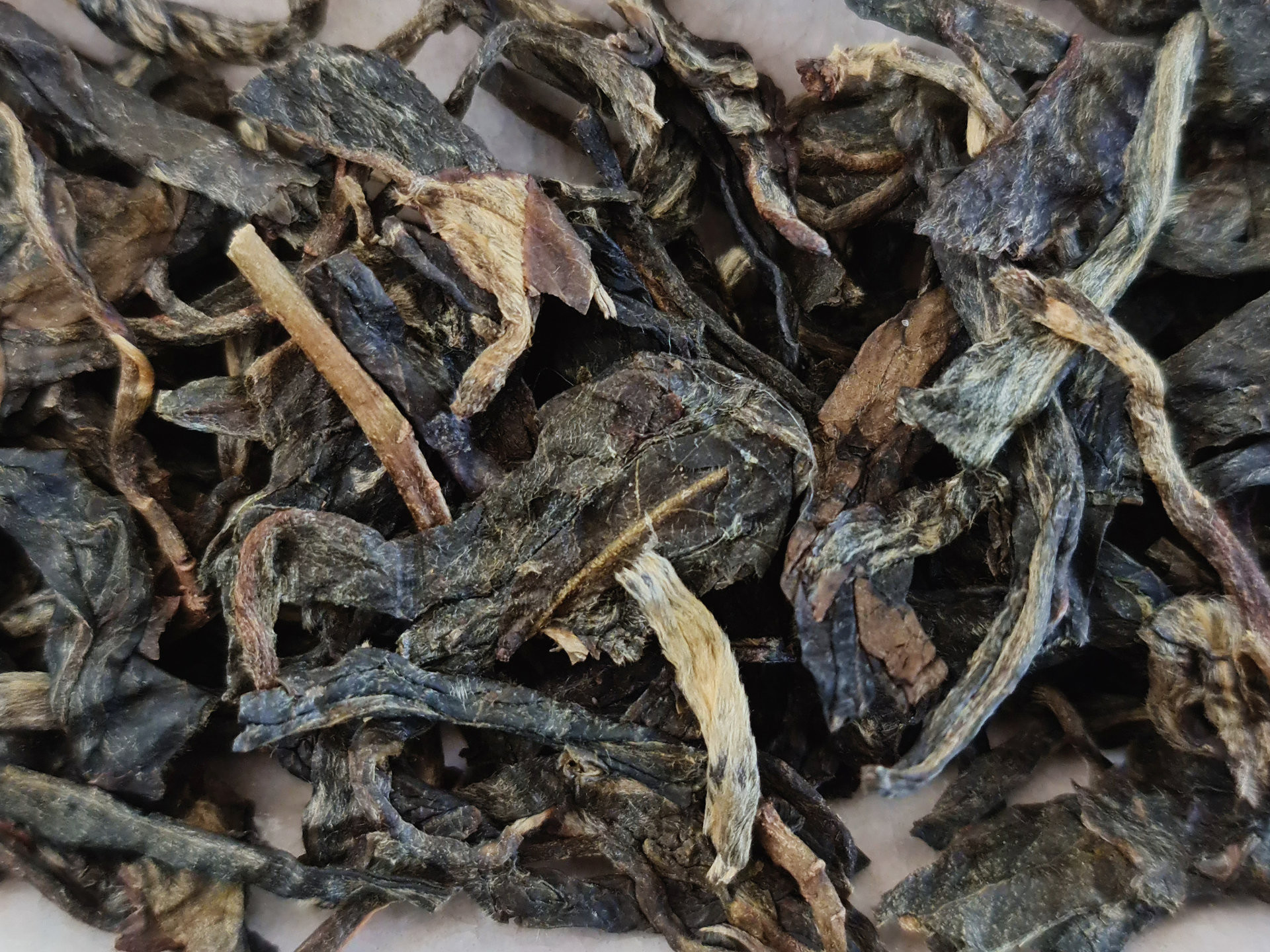 2012 Kunzhushan