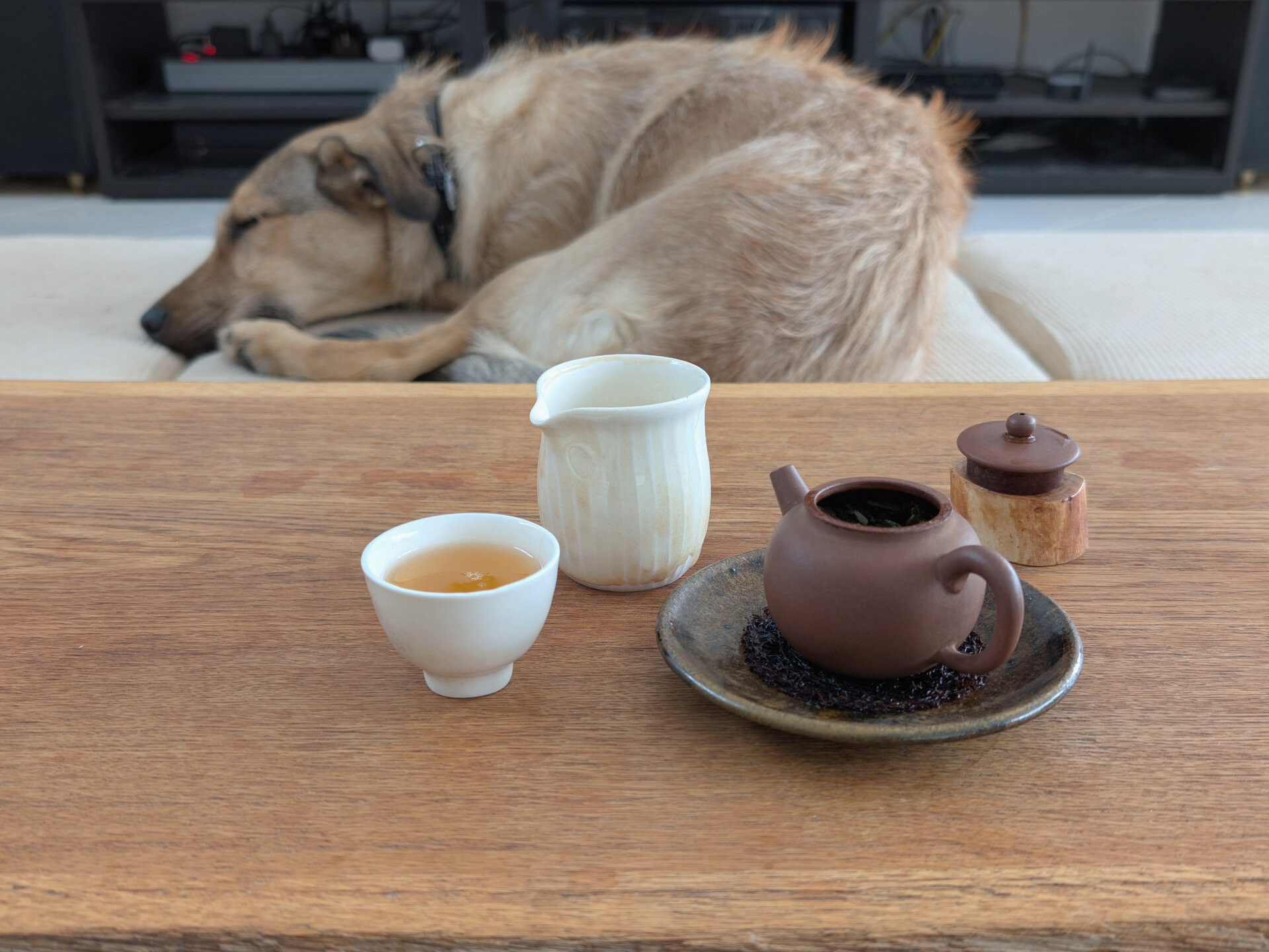 2024 Chenyuan Hao Jipin Gongcha