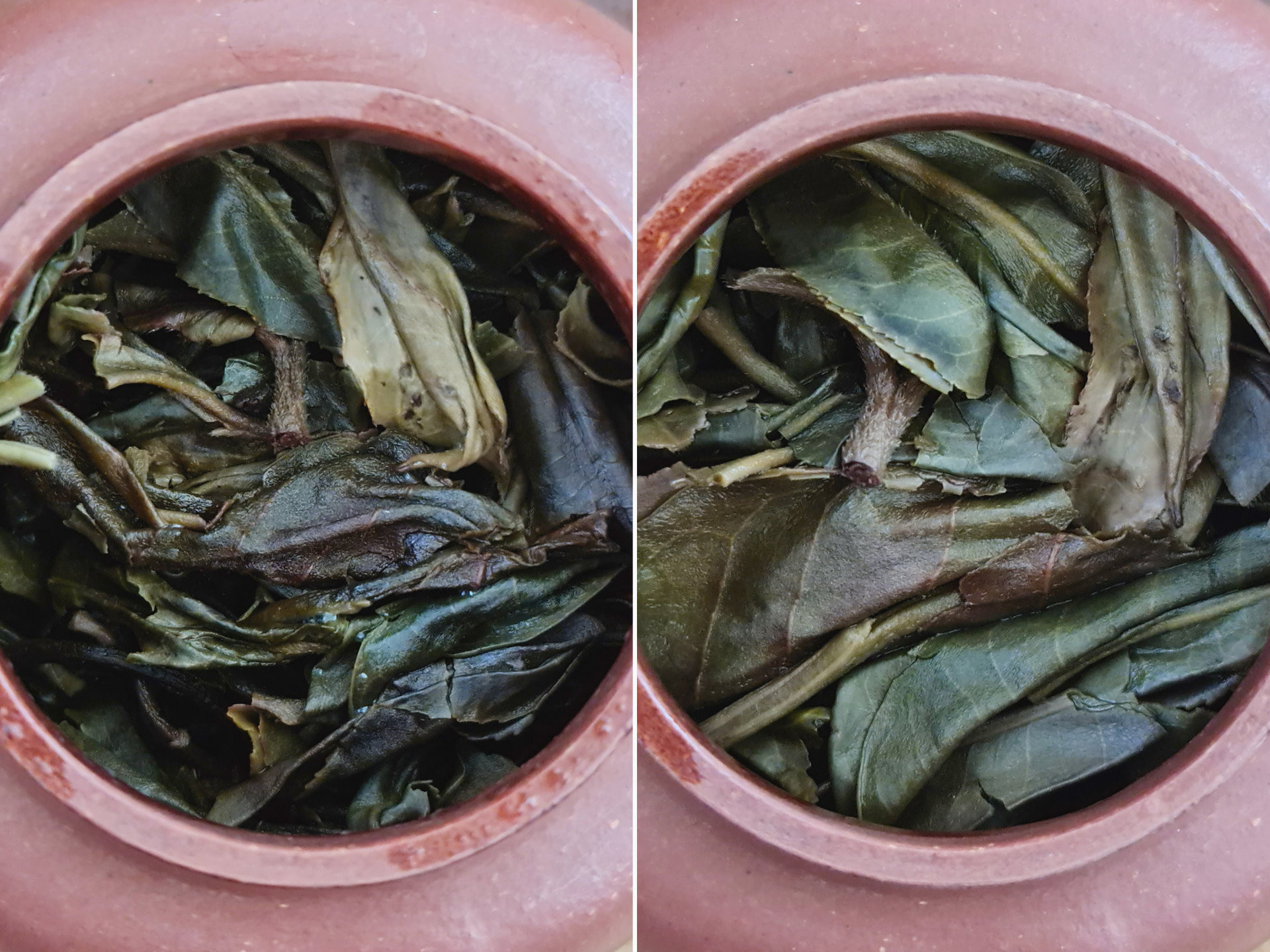 2013 Bangwei Gushu (Yu)