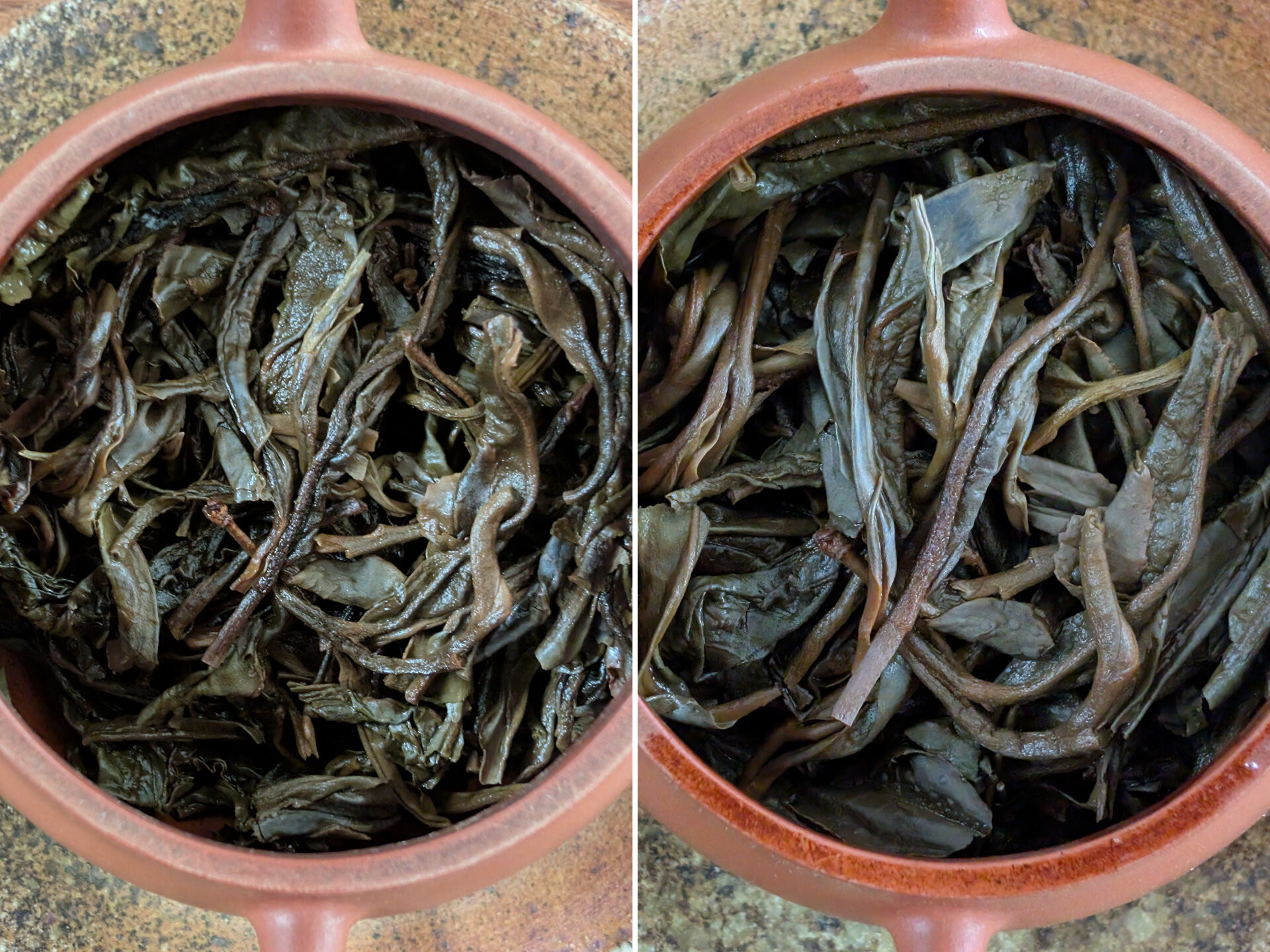 2014 Chenyuan Hao 6FTM Mansa