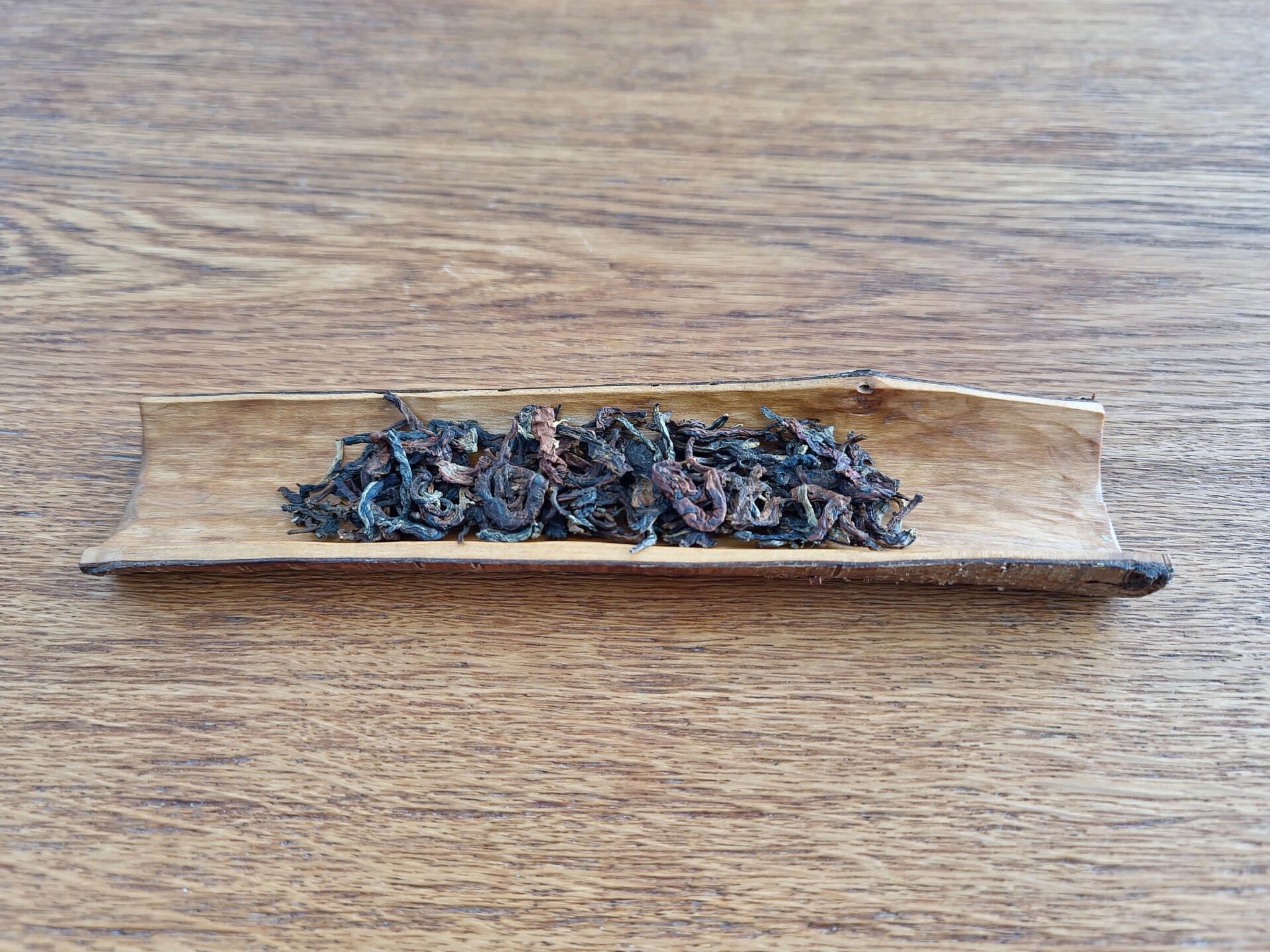 2022 RW 5 very old tea tree (prSK)