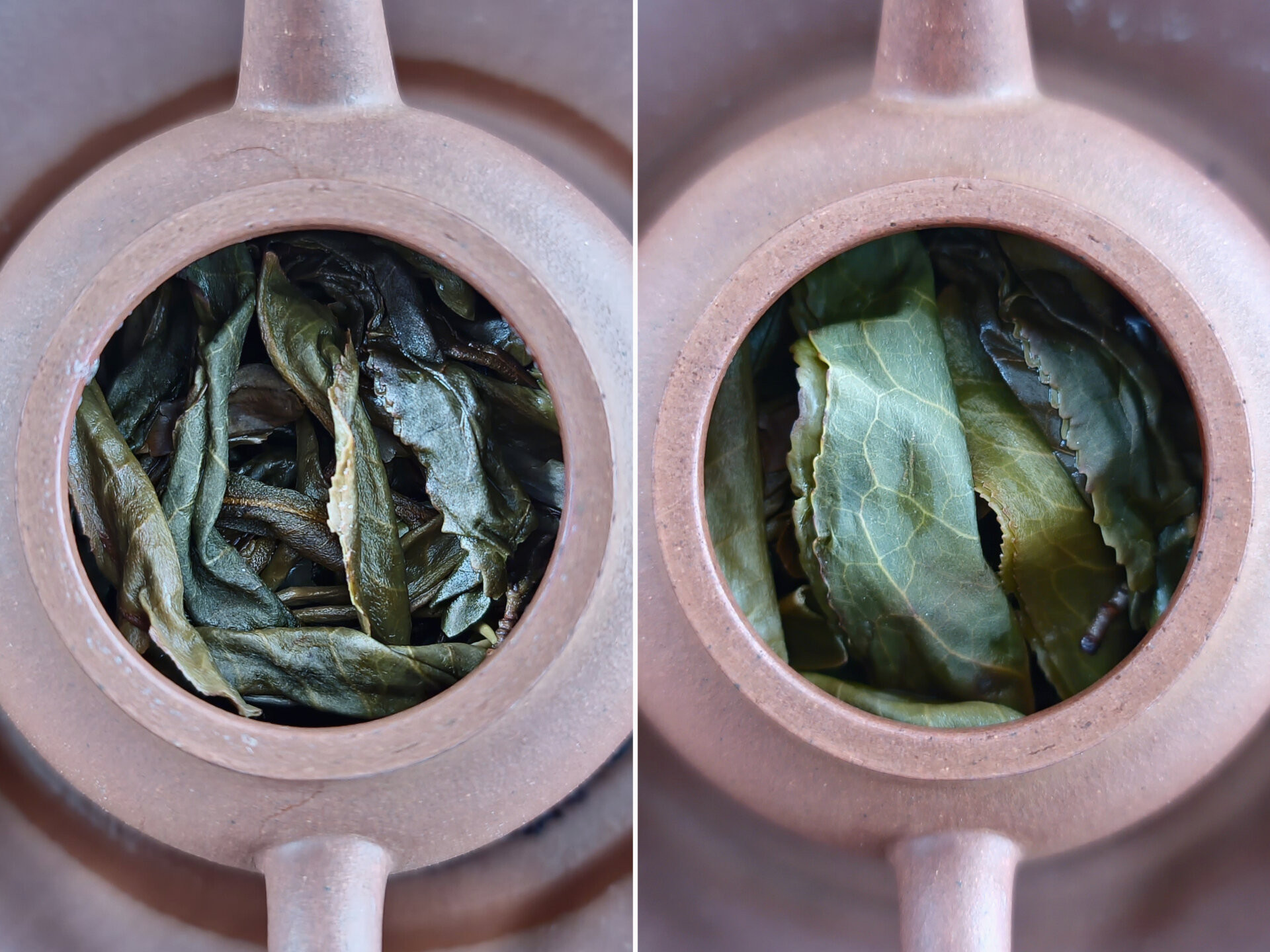2019 Chenyuan Hao Luo Shui Dong