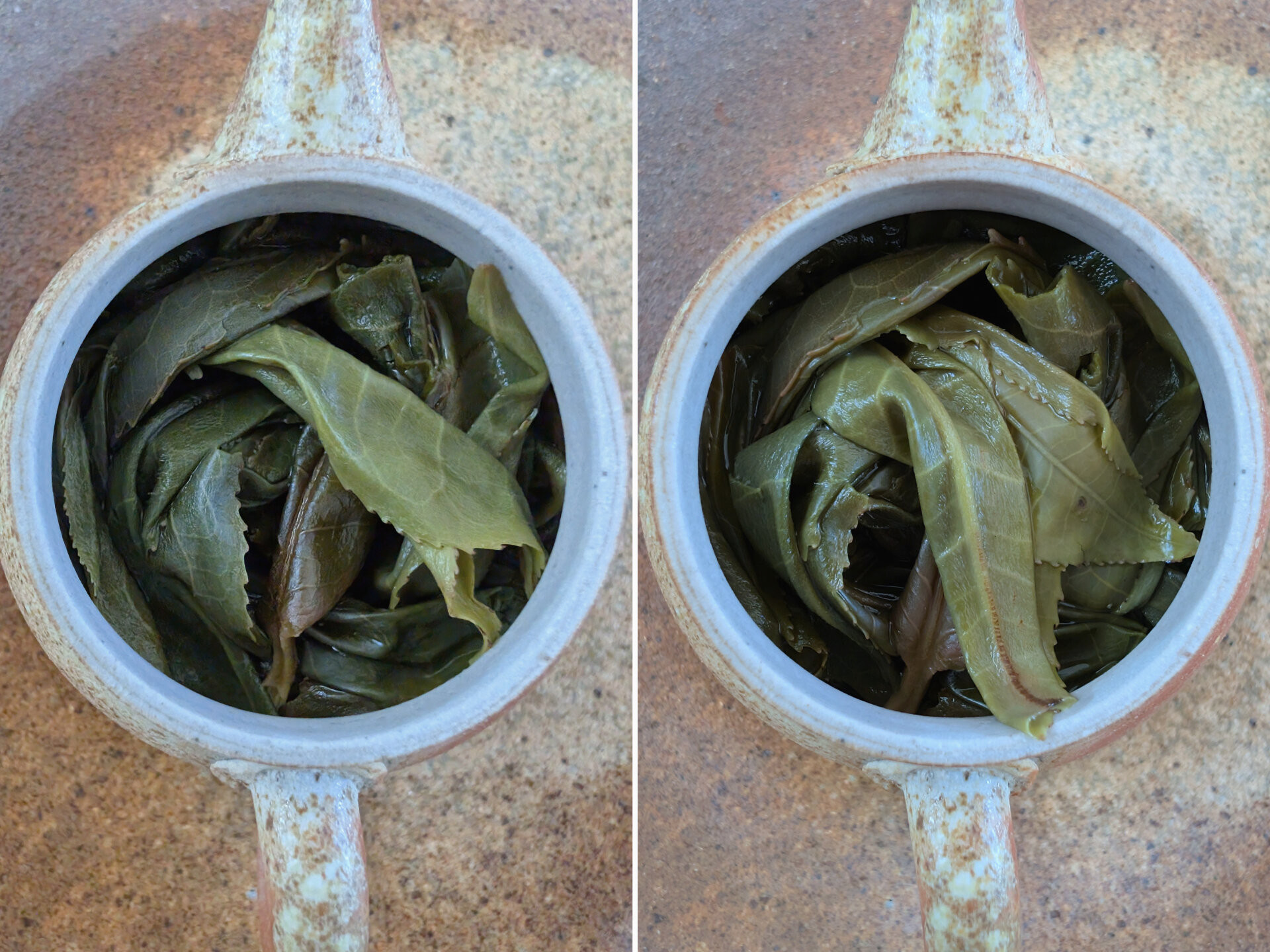 2025 Laobanzhang Dominant vs Elegant vs Danzhu (prUK)