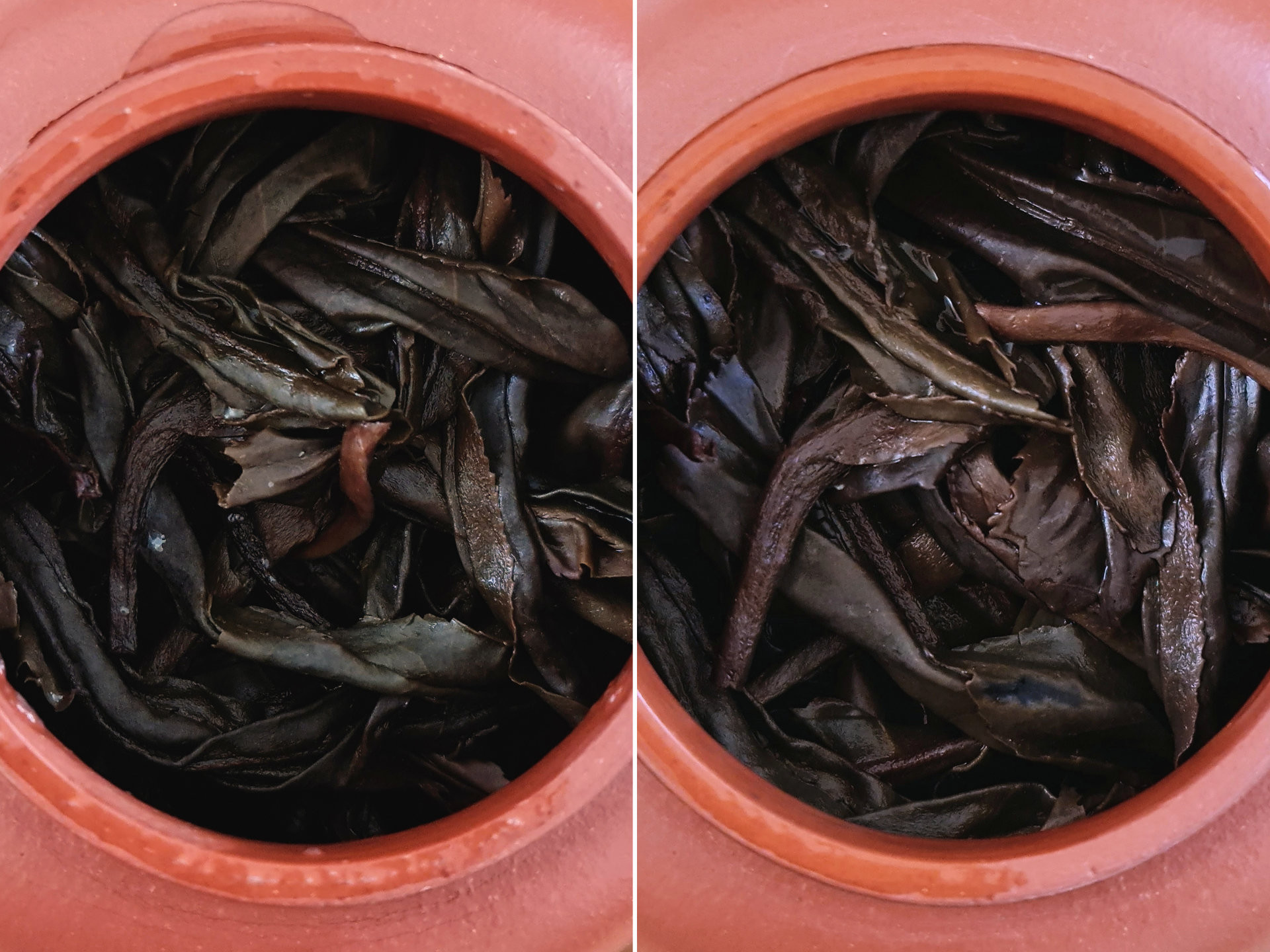2010 Wuliang Shan Qiao Mu Purple (TTpl)