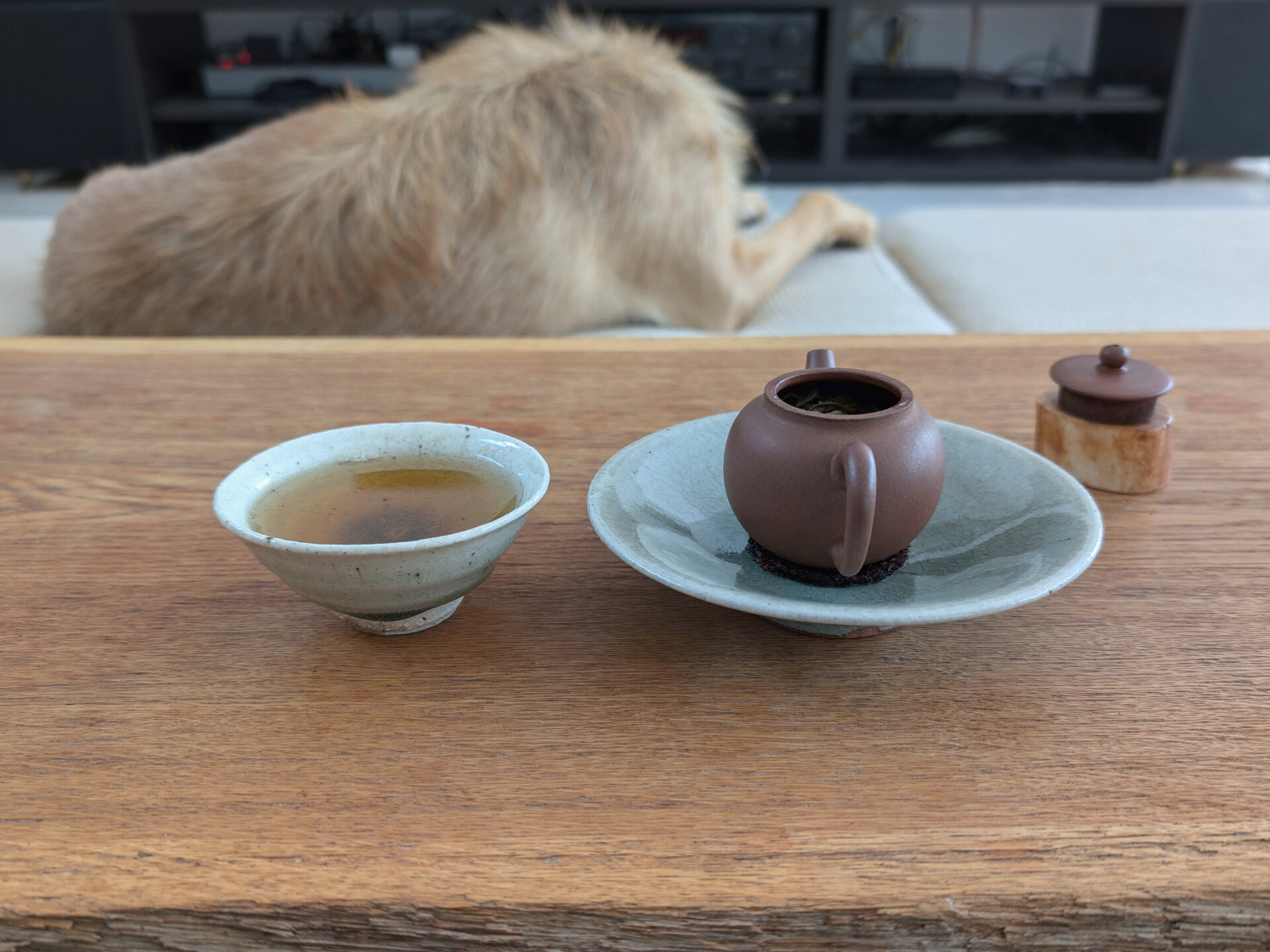 2020 Gushu Mengku Dongguo