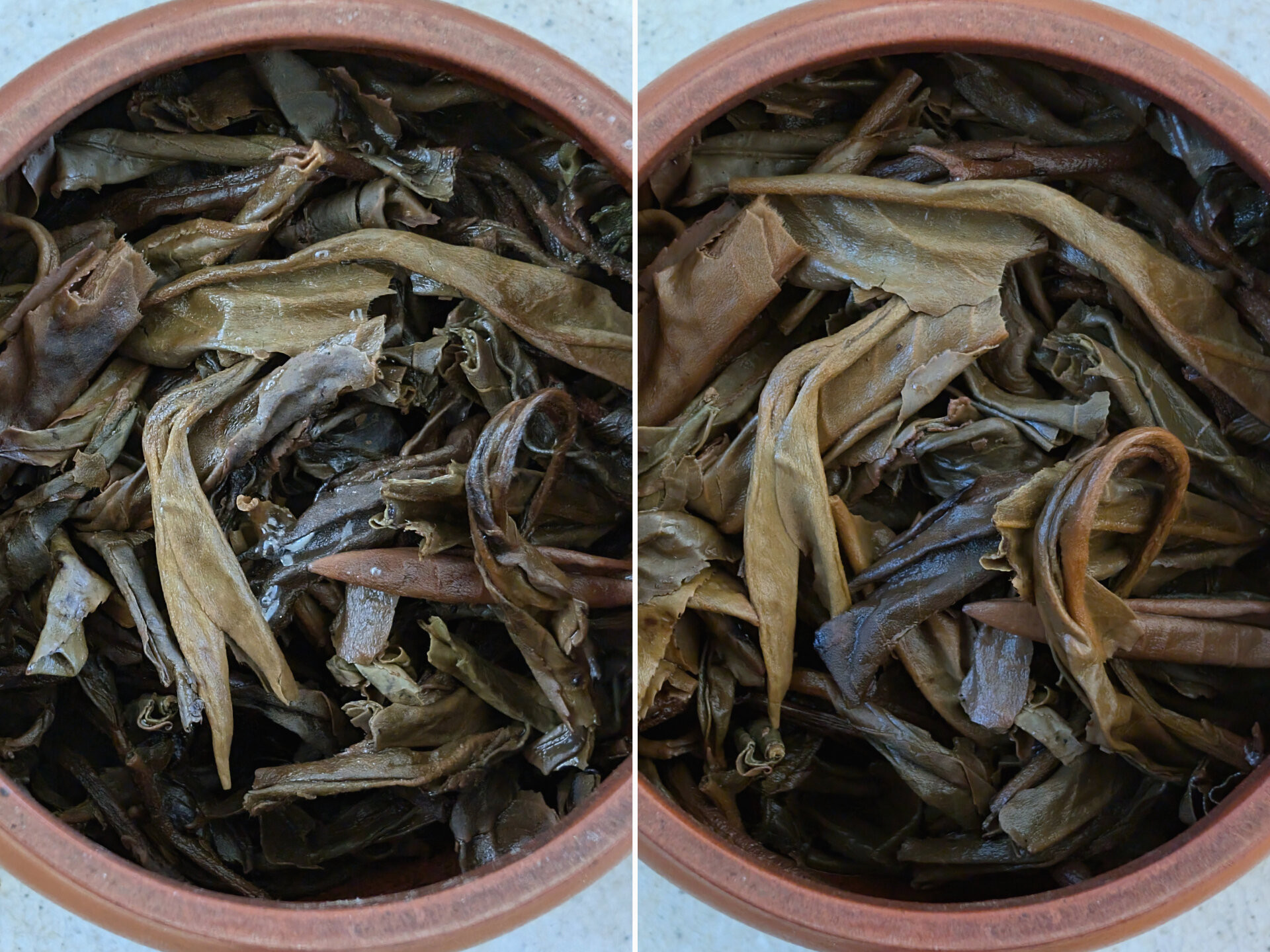 2009 Chenyuan Hao Cang Qing