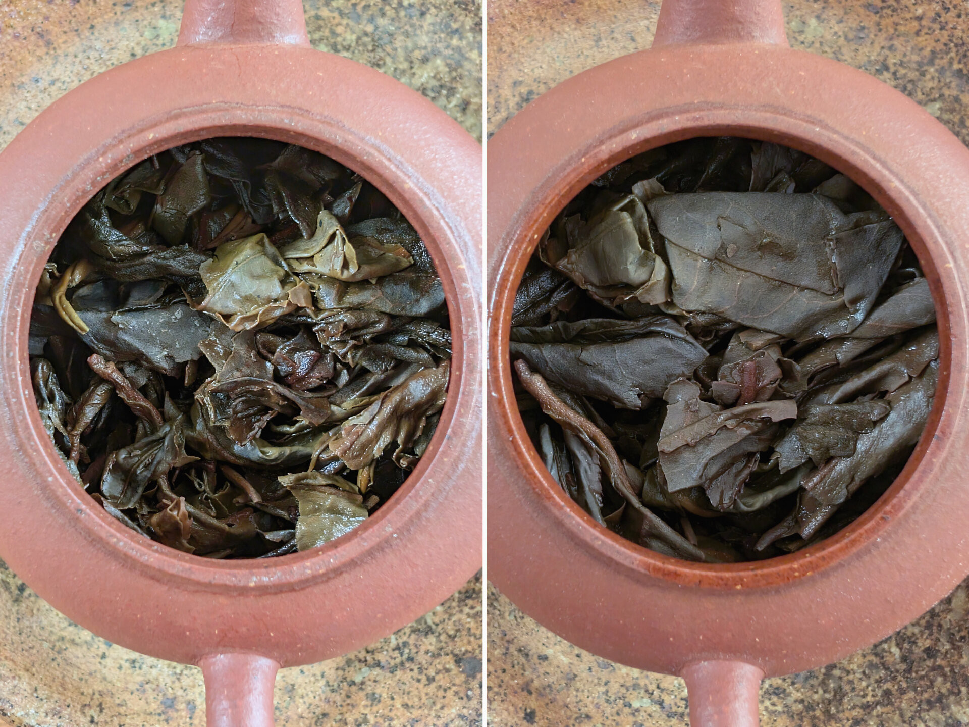 2007 Wistaria Hongyin