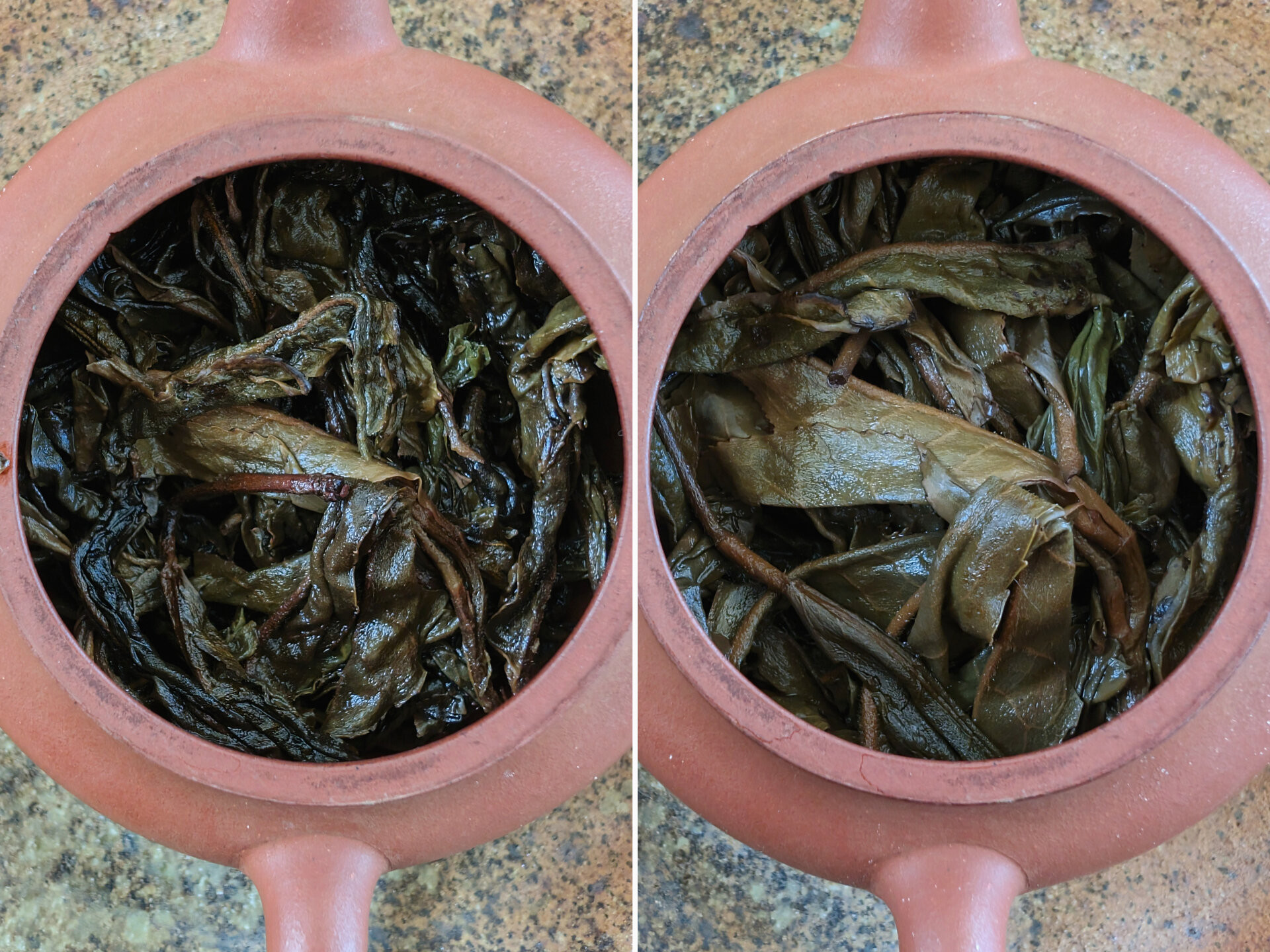 2018 Bi Yun Hao Yibi Danzhu