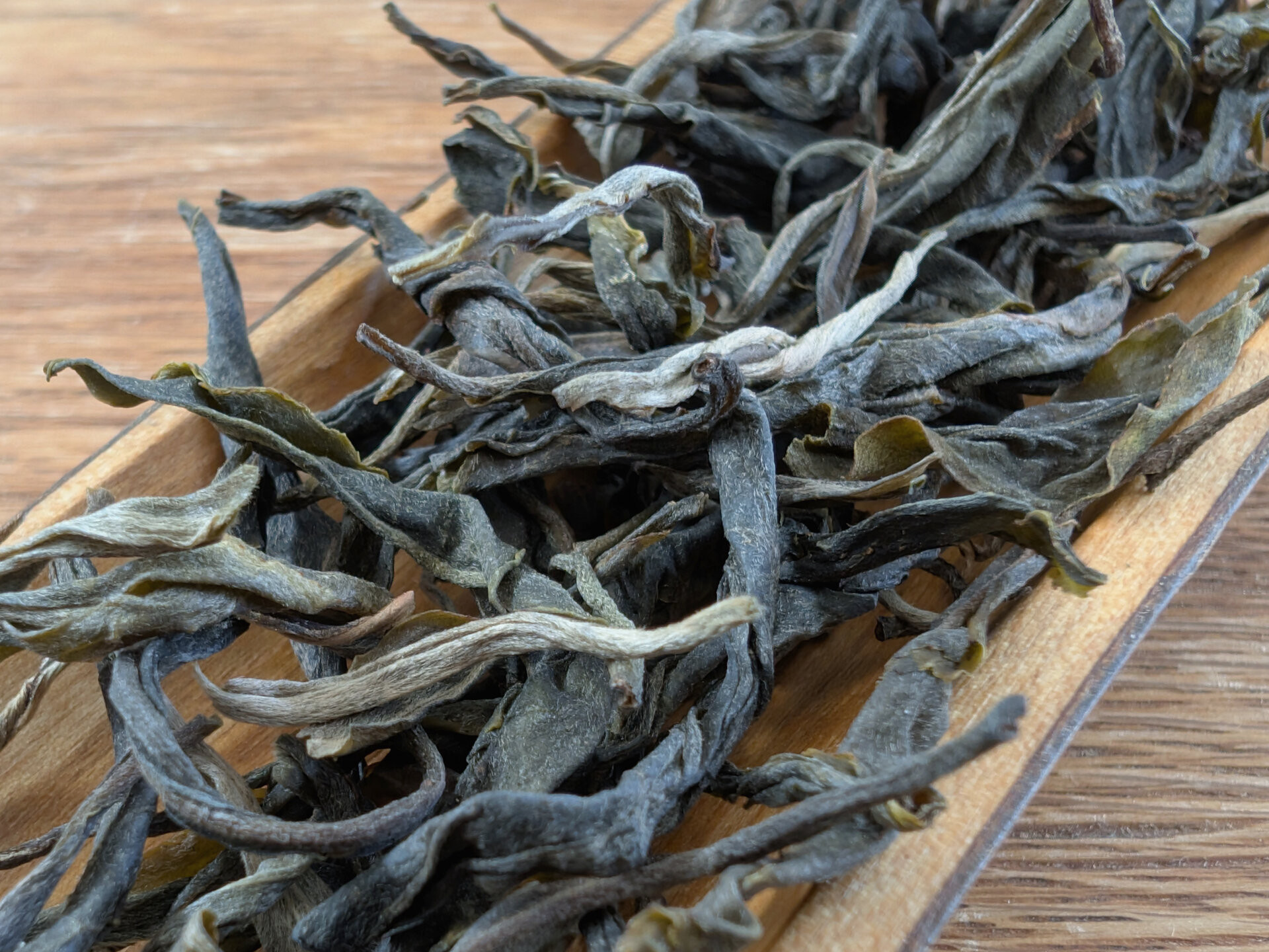 2025 5 Oldest Tea Trees of Pang San Zhou Maocha (prSK)