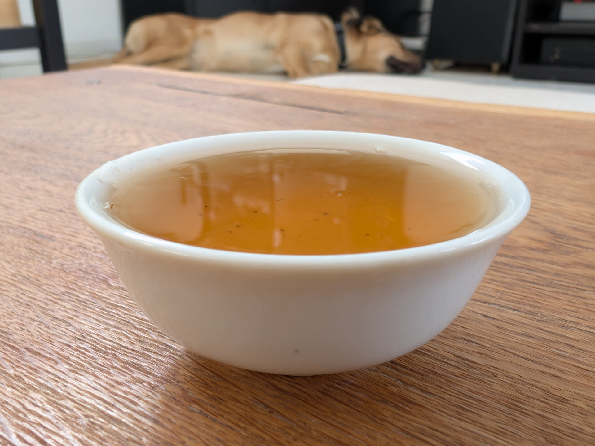 2026 883 years old tea tree (prSK)