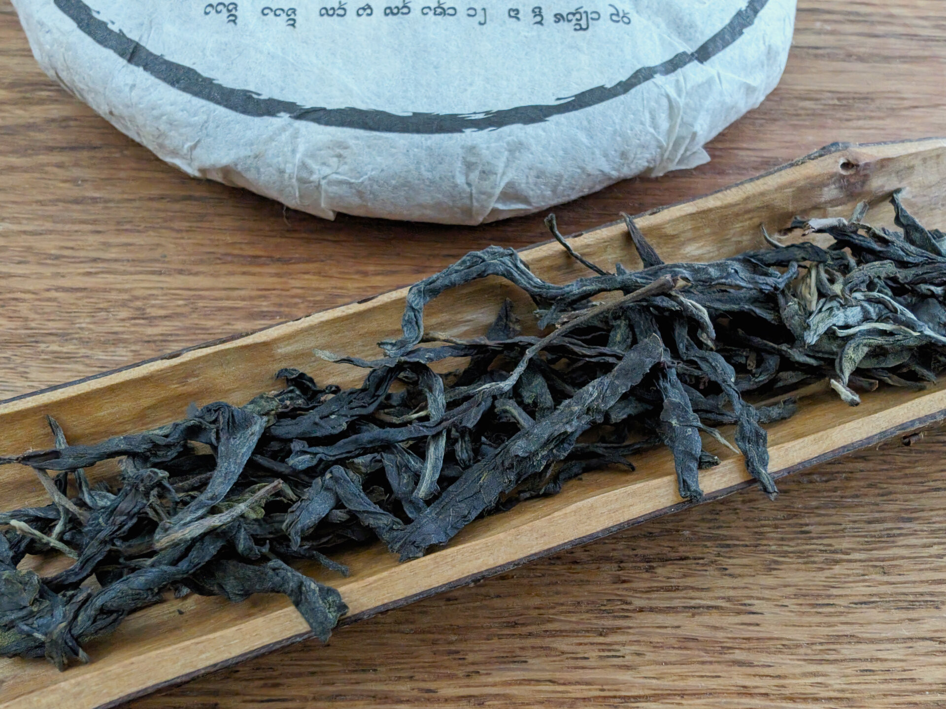 2023 Mansa Gushu (prSK)
