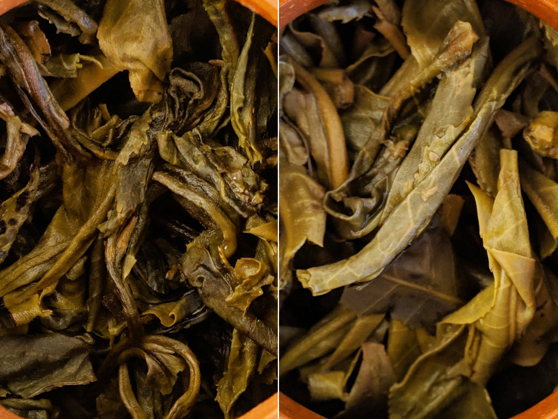 2015 HuaZhu Liangzi (prSK)