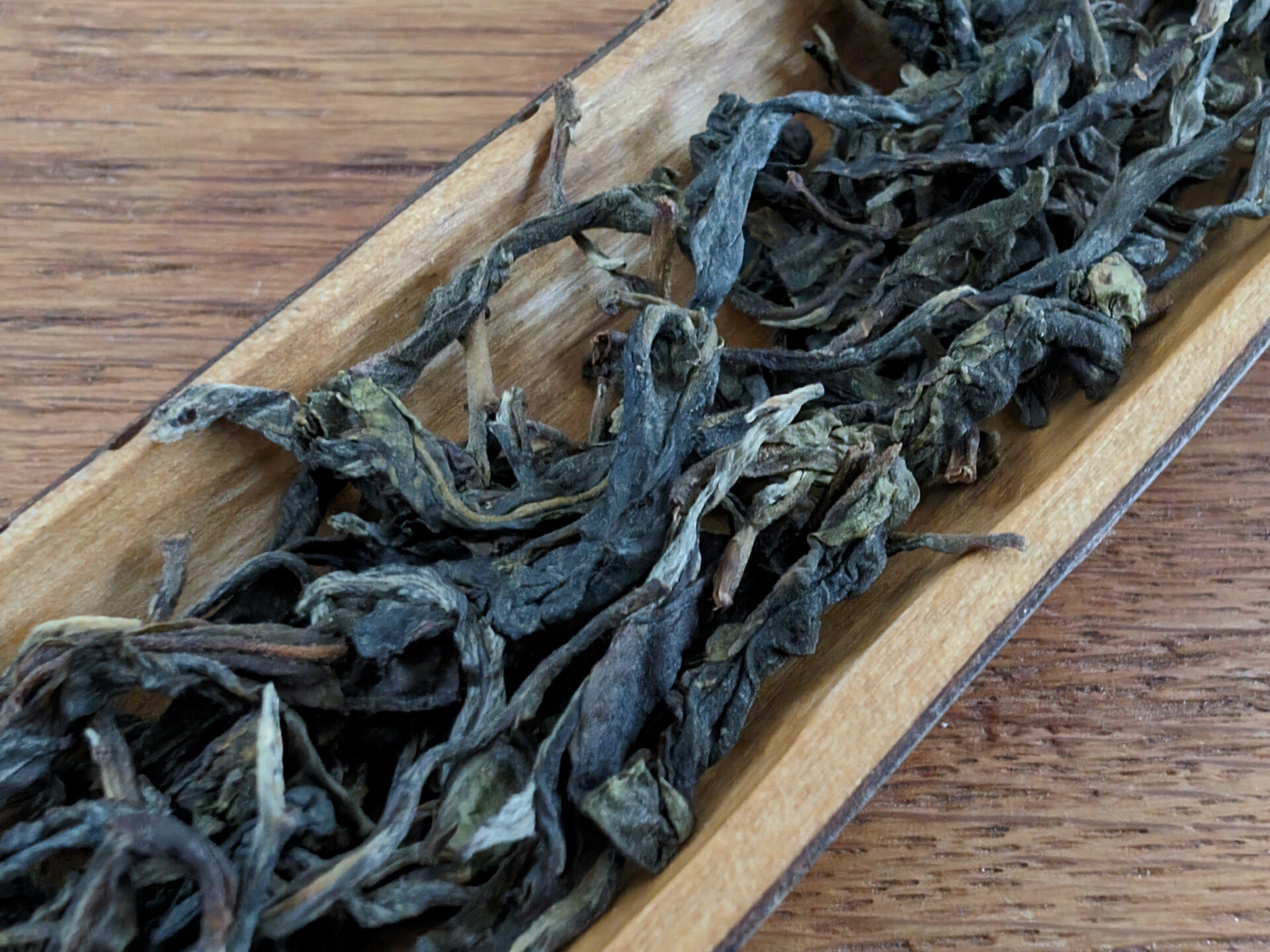 2023 Yiwu Old Tree (TTpl)
