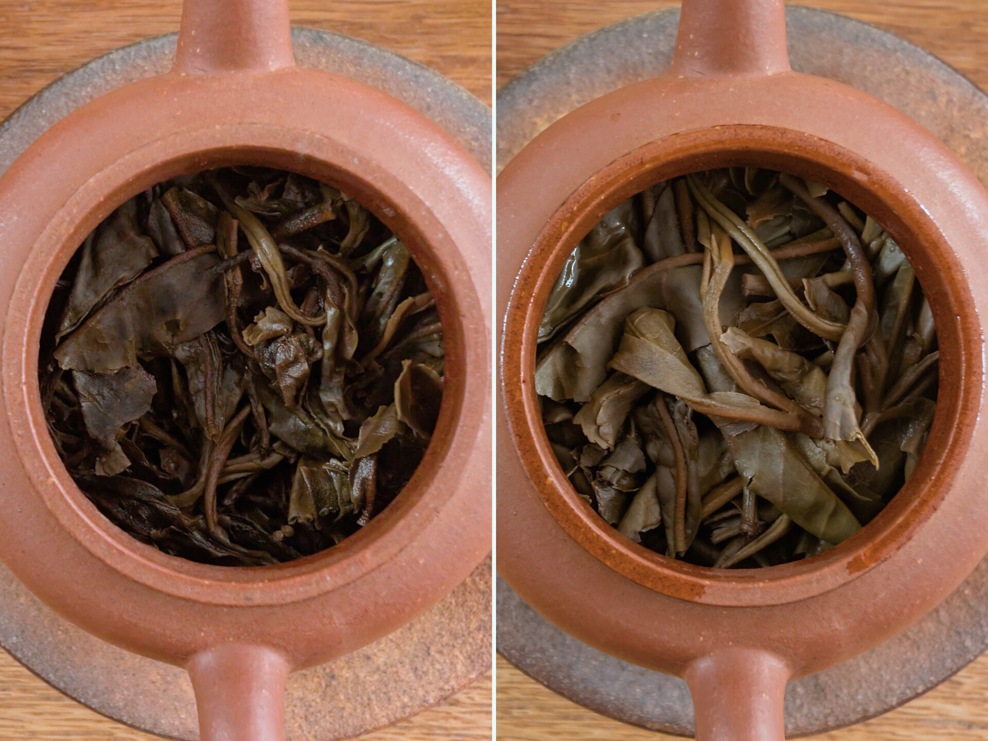 2010 Manzhuan Arbor (WWSF)