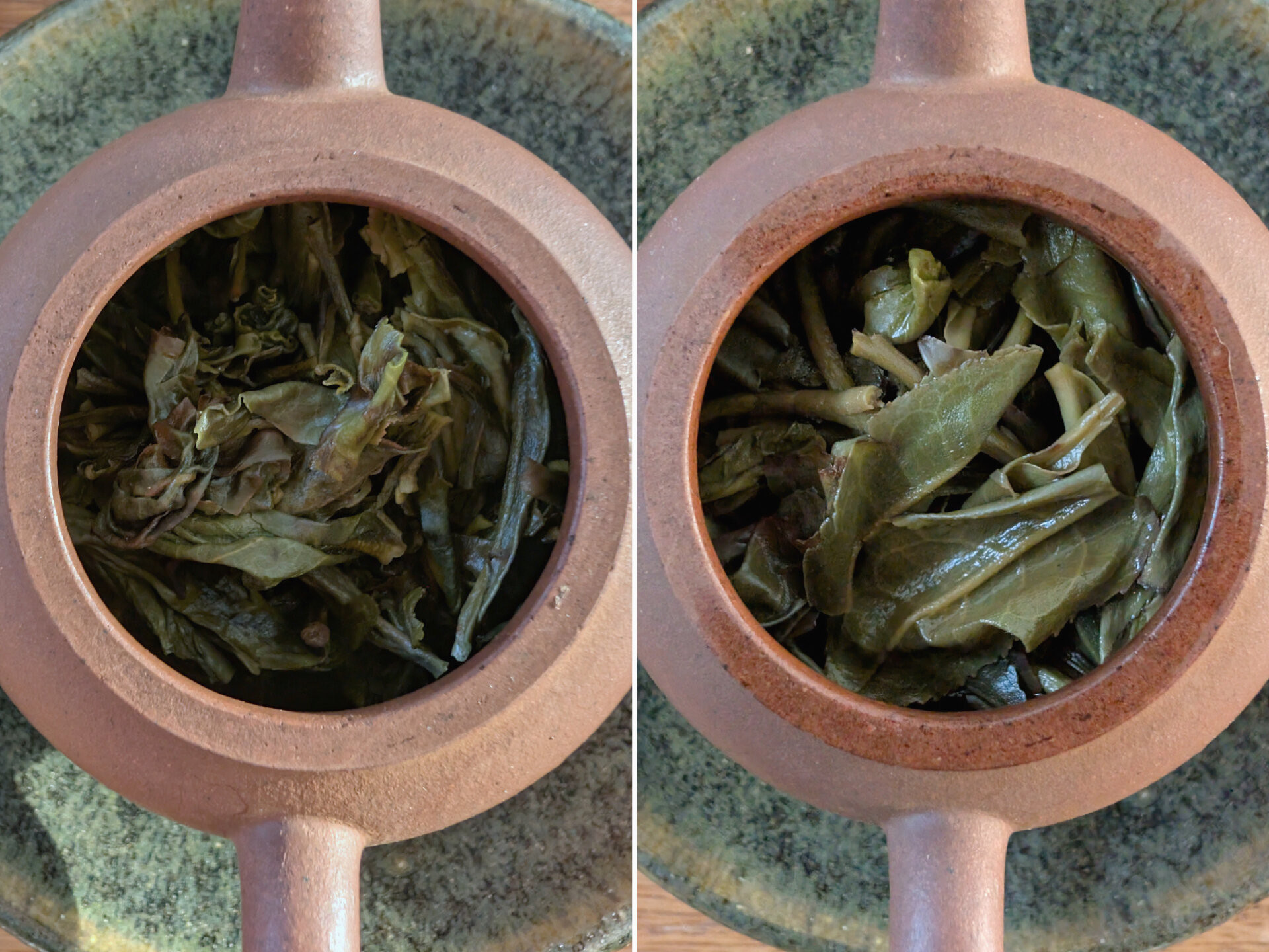 2024 Chenyuan Hao Mansong