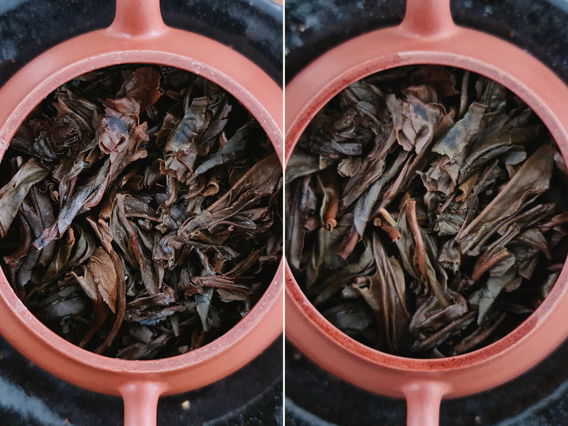 2006 Bulang Yesheng