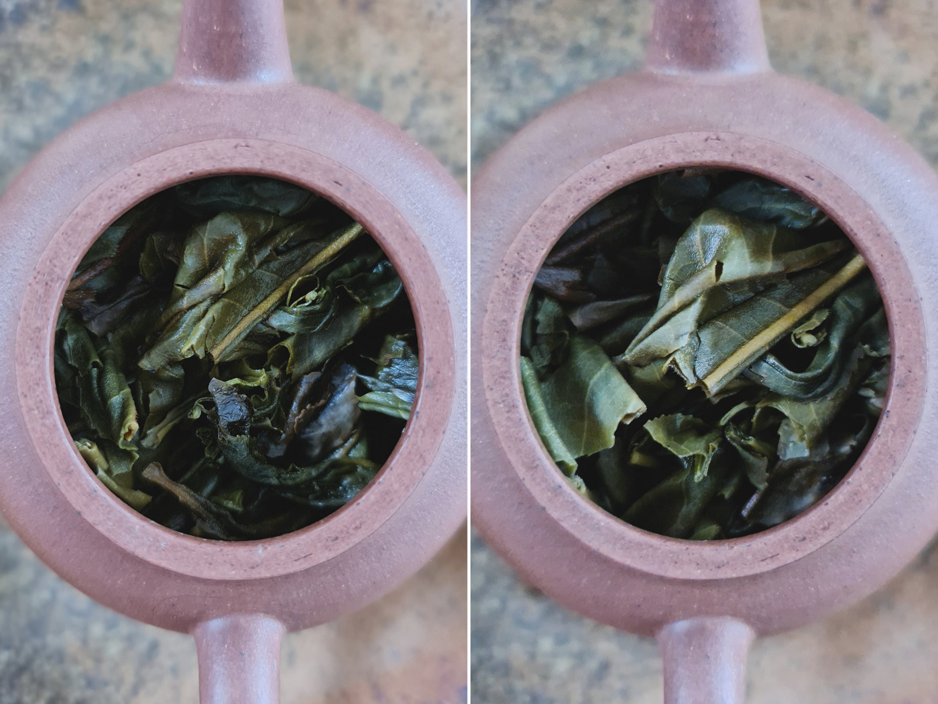 2019 Xiao Jinggu Gushu (TMcz)