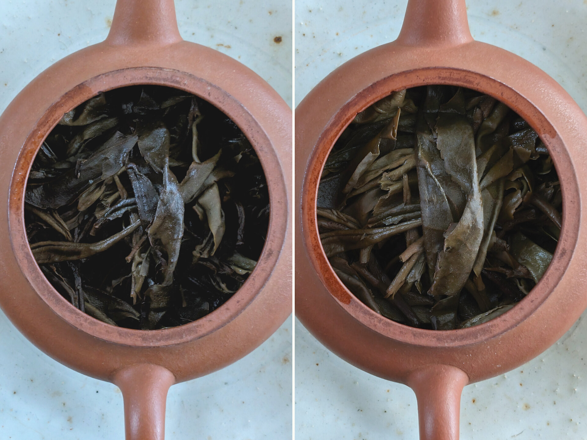 2014 Cheng Shun Hao Xigui