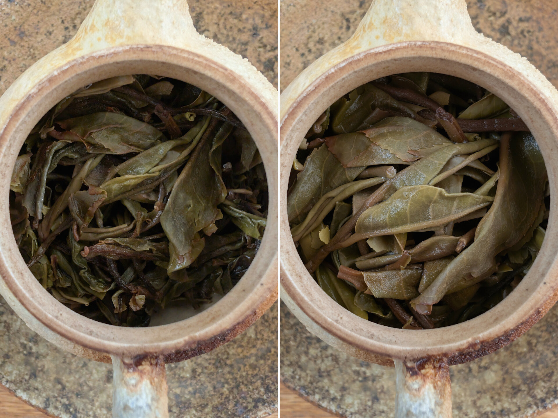 2024 Mengku Molie
