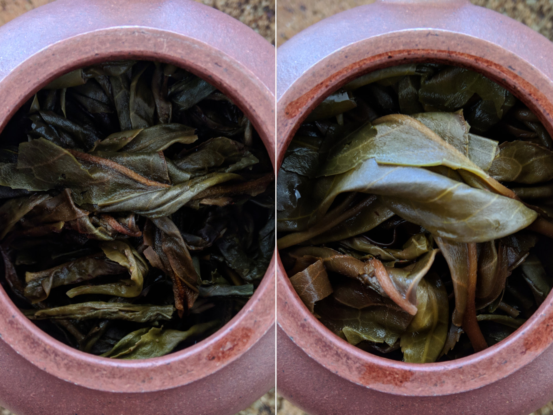 2018 Gaoshan (Yu)