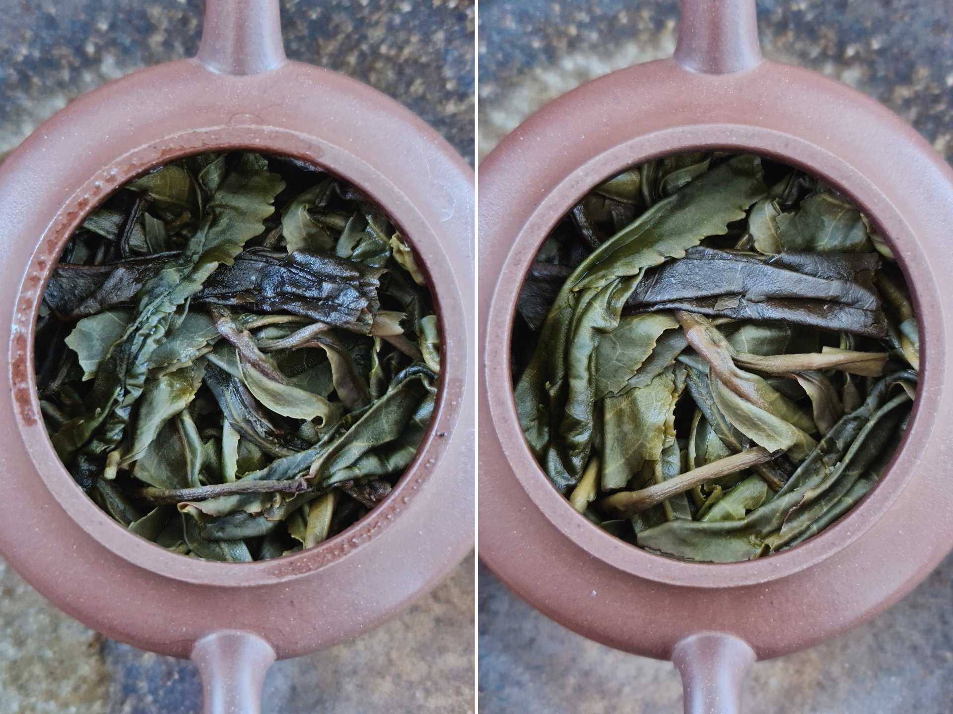 2020 Mengku Gushu (prPL)
