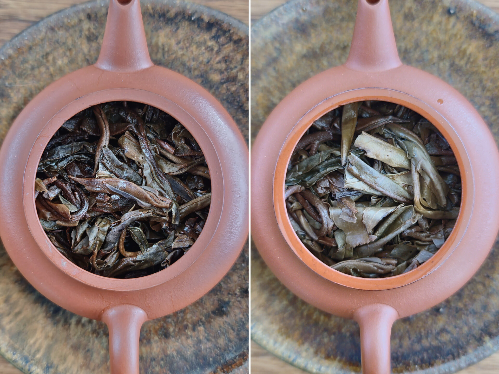 2005 Chenyuan Hao "Jing Chang Cha Zhuang"