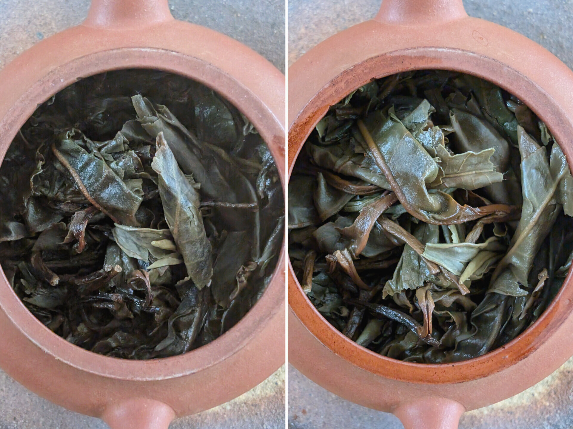 2008 Chenyuan Hao Cang Fu