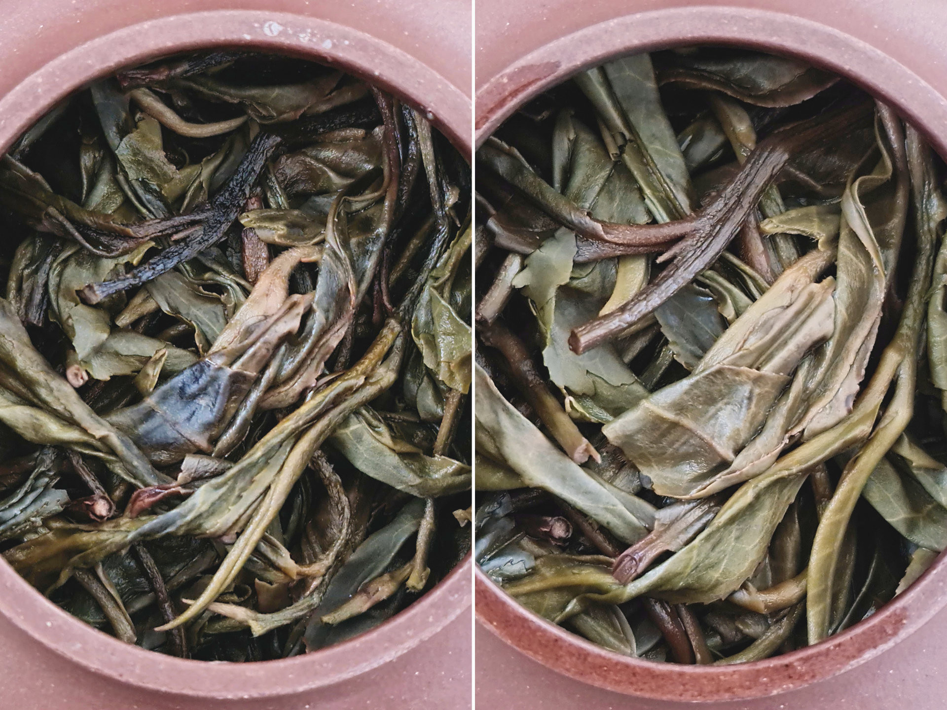 2019 Zhang Jia Wan (TU) 2019 Zhang Jia Wan (TU)