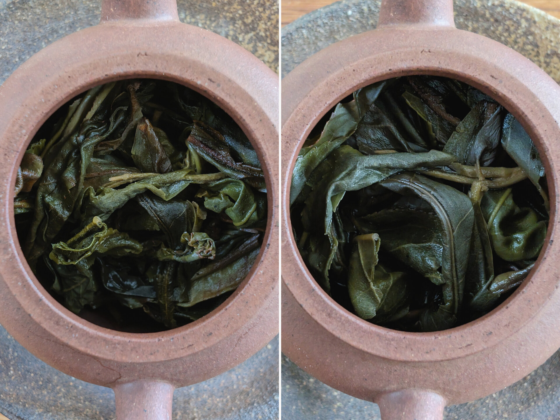 2023 Chenyuan Hao Chawangshu Huangshan