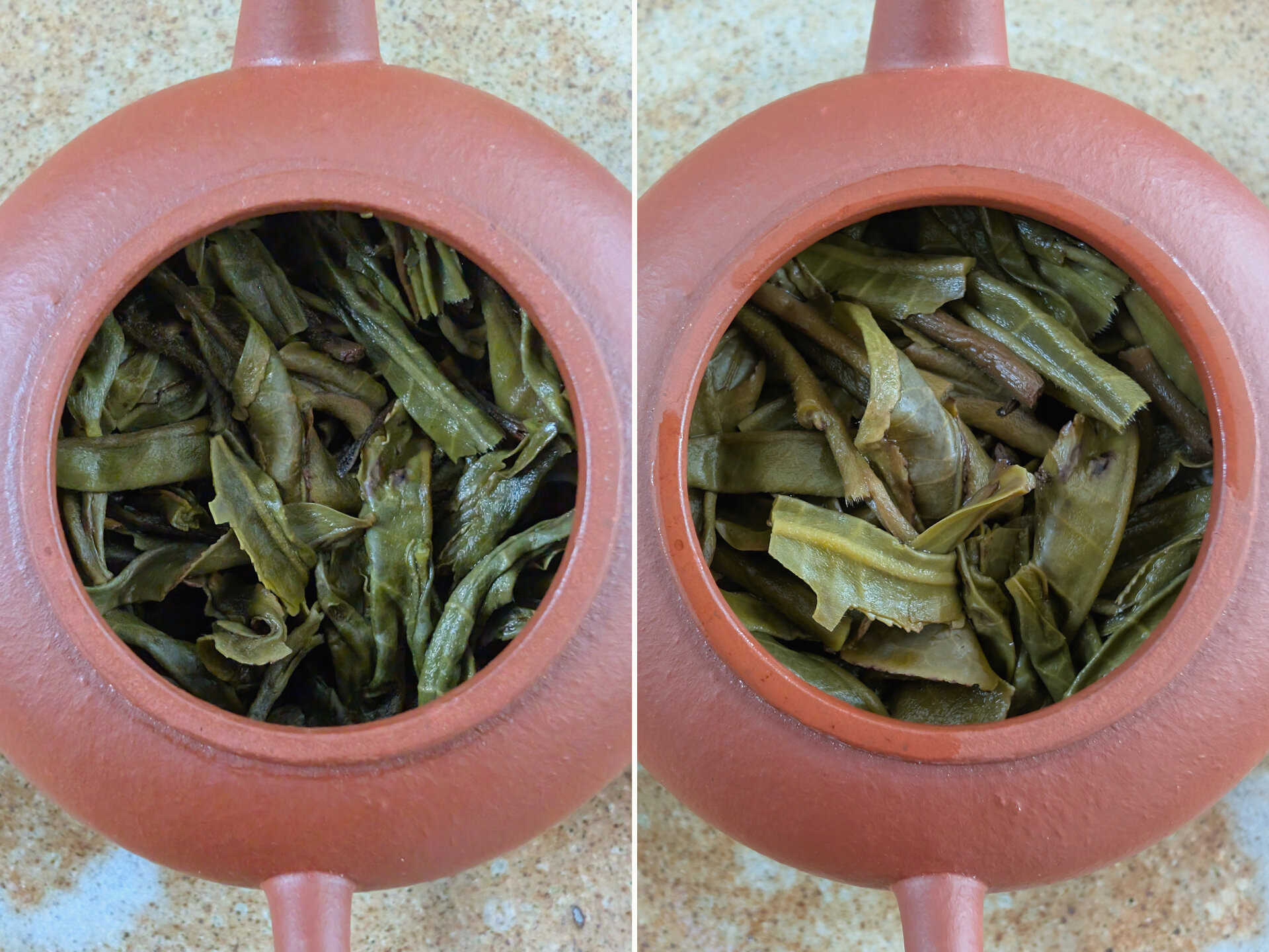 2025 Mangsheqing Gaogan (prSK)