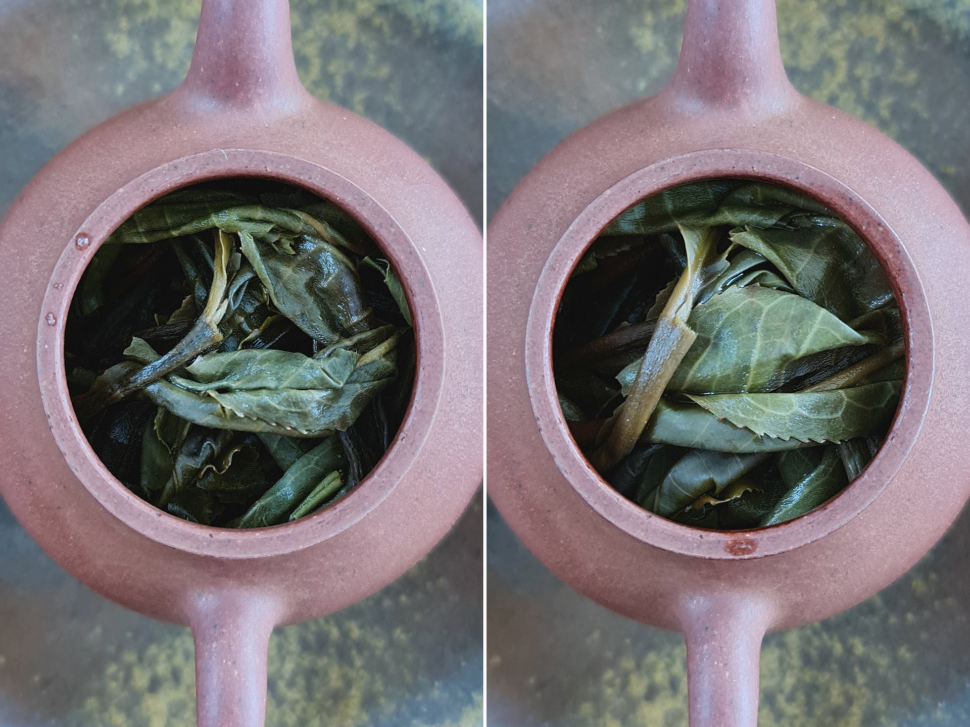 2021 Autumn Manzhuan Qing Gushu
